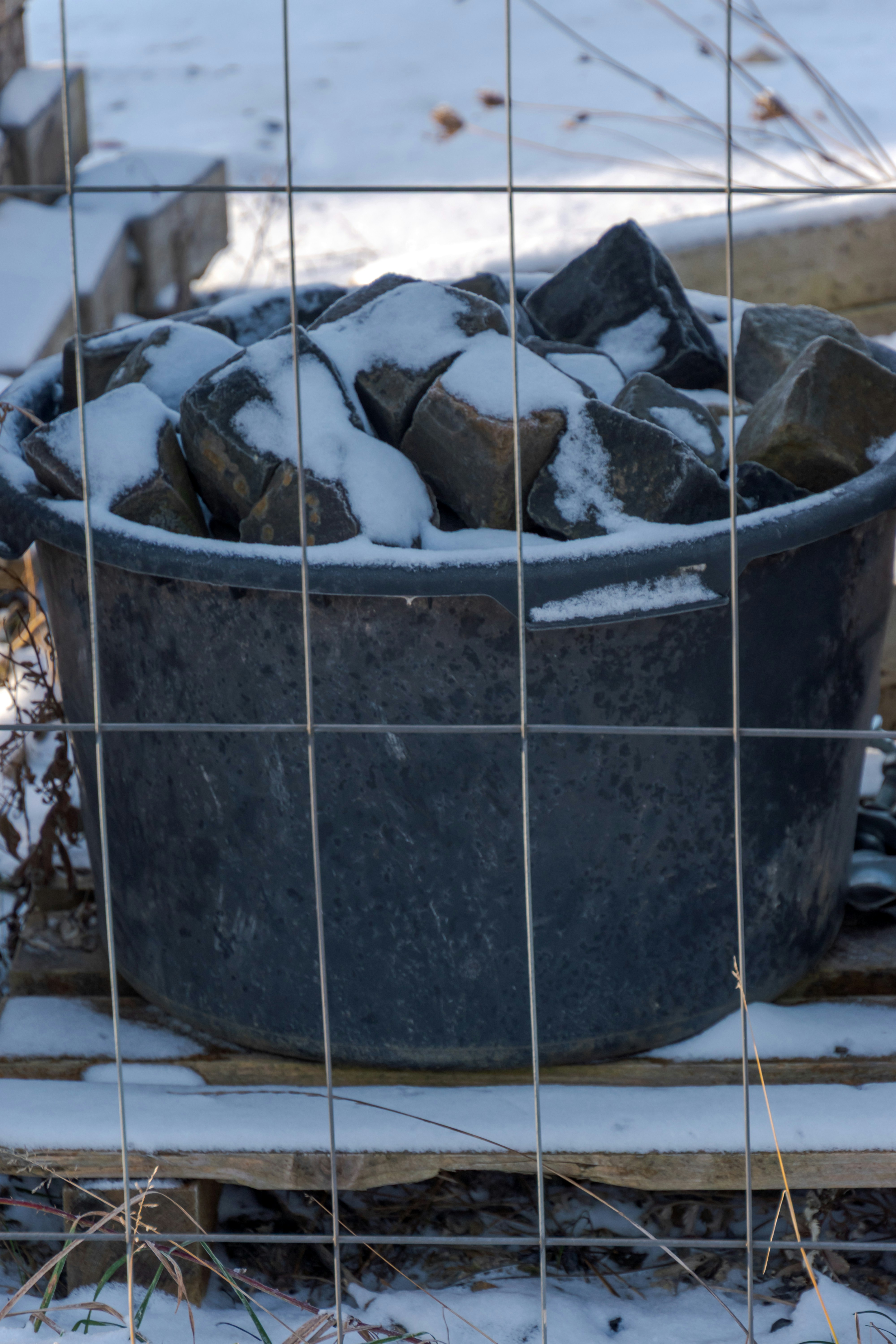 winter garden preparation