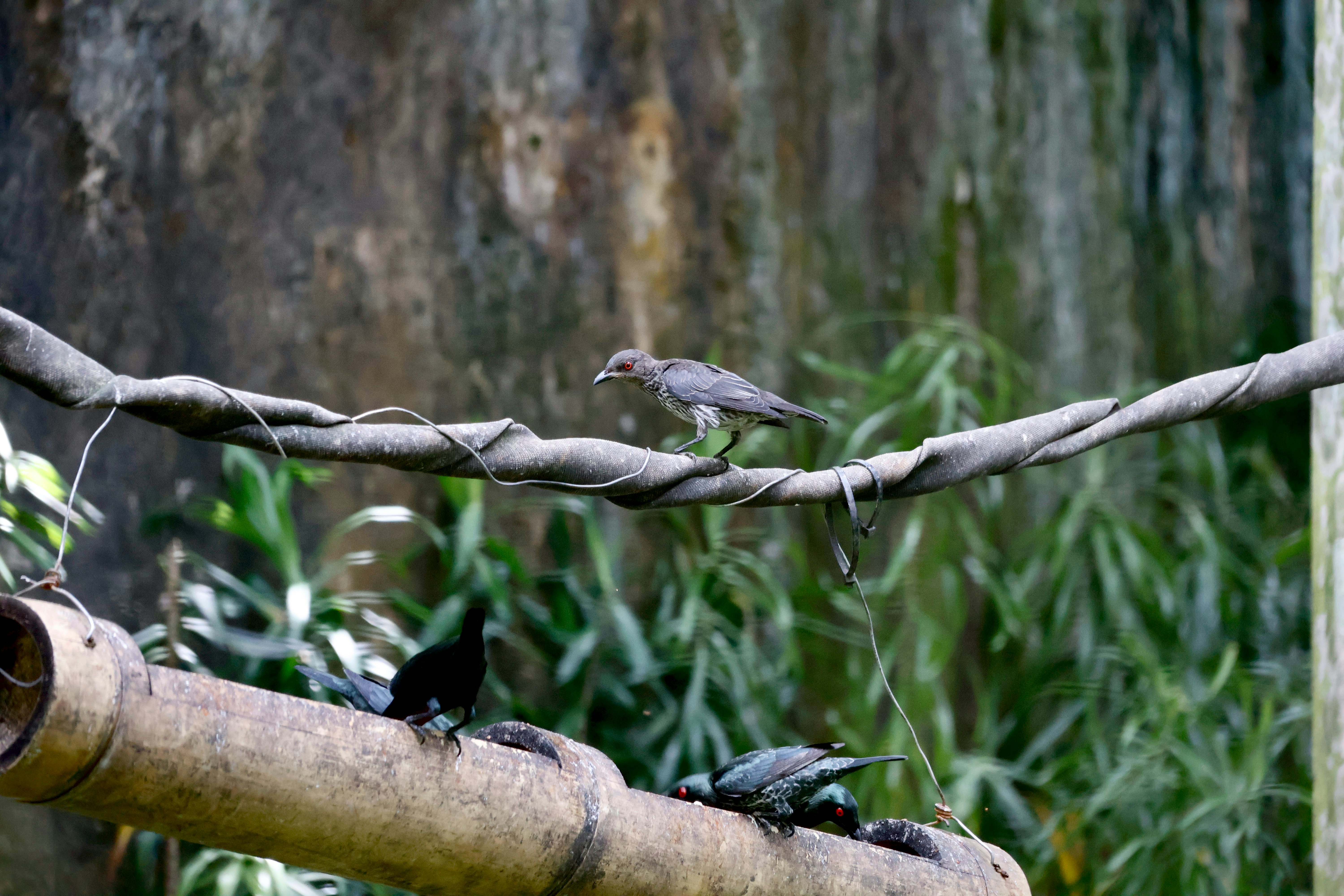 Firma Usługowa EURO-WIND Paweł Zmilczak