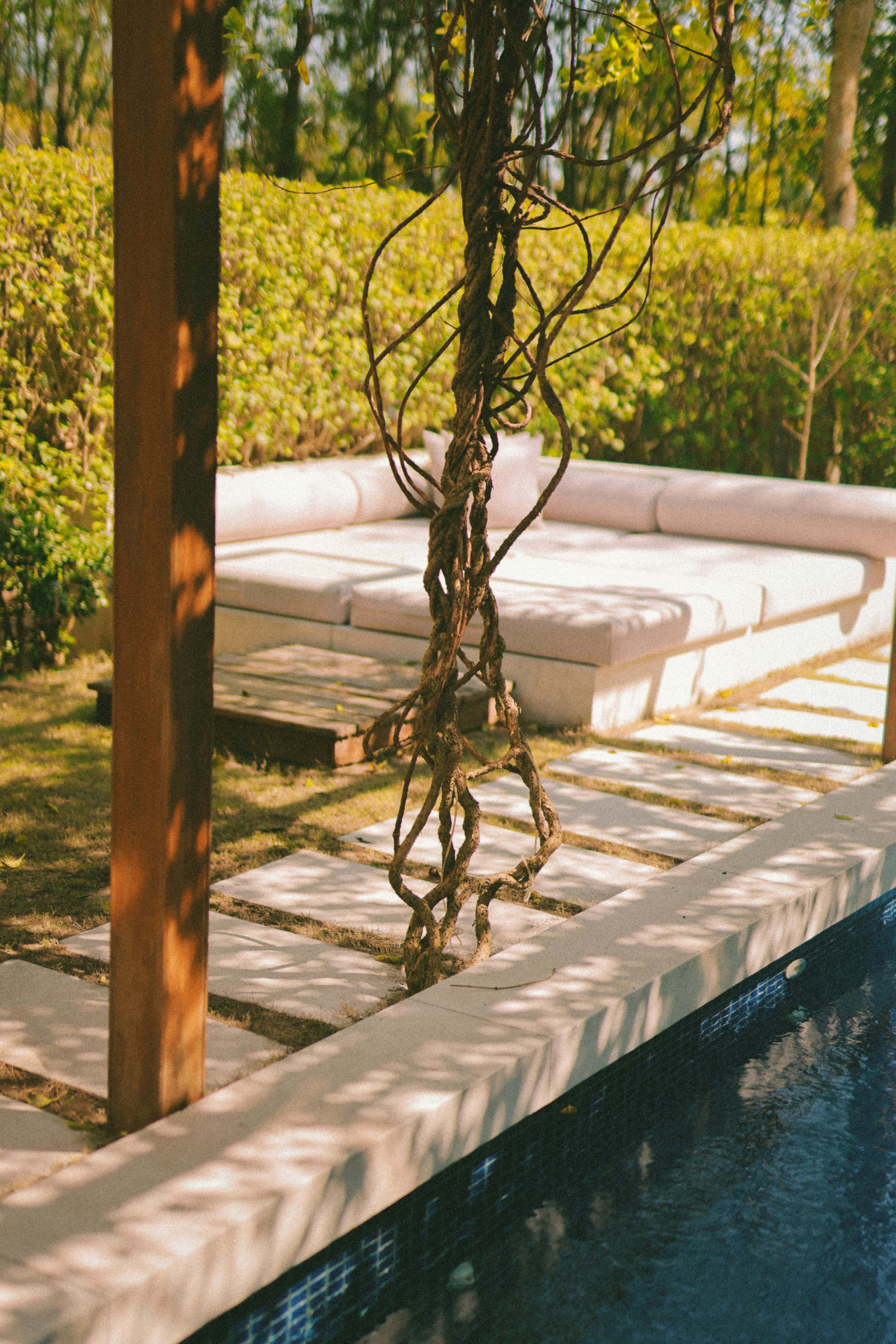 Photo by hoianphotographer