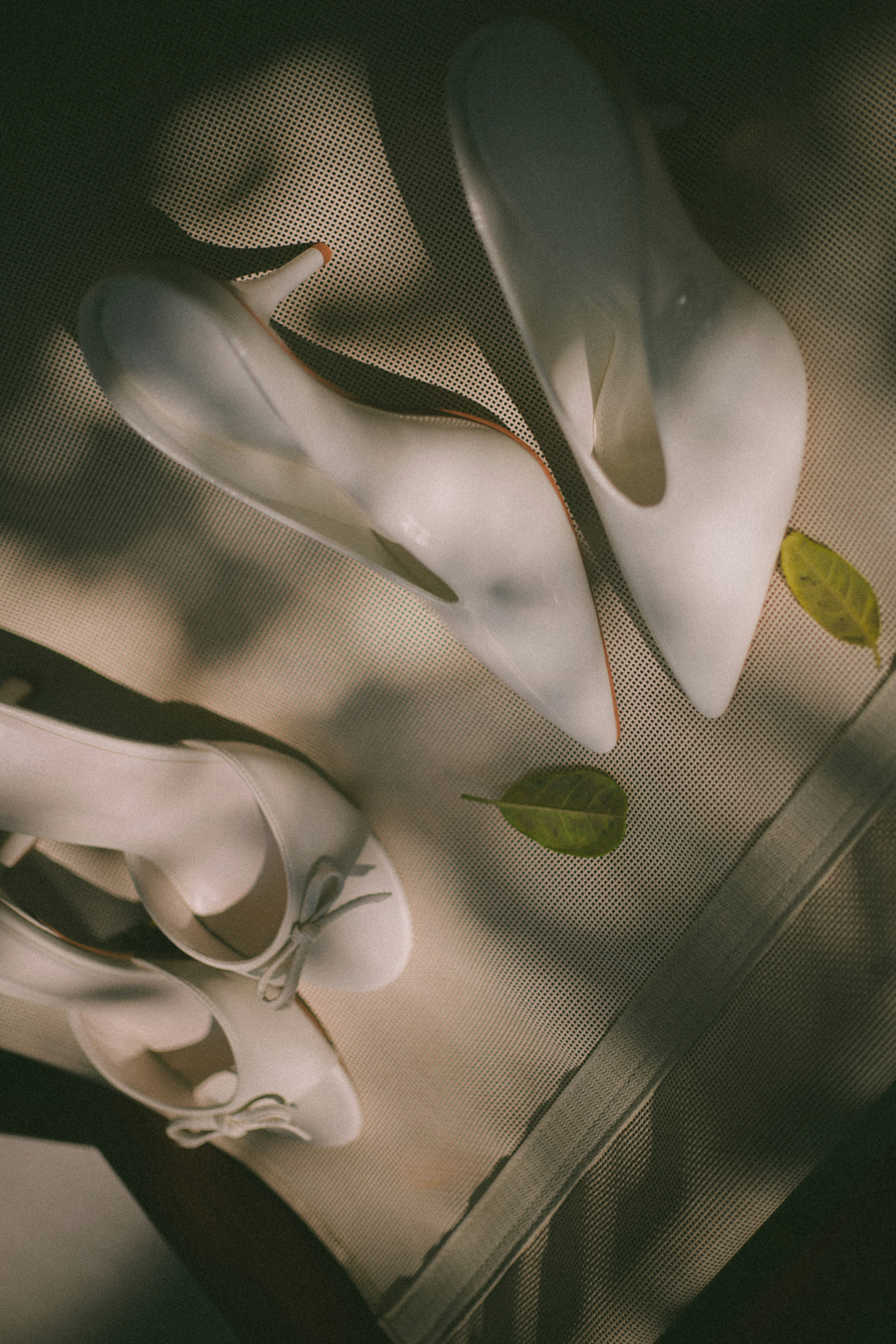 Photo by hoianphotographer