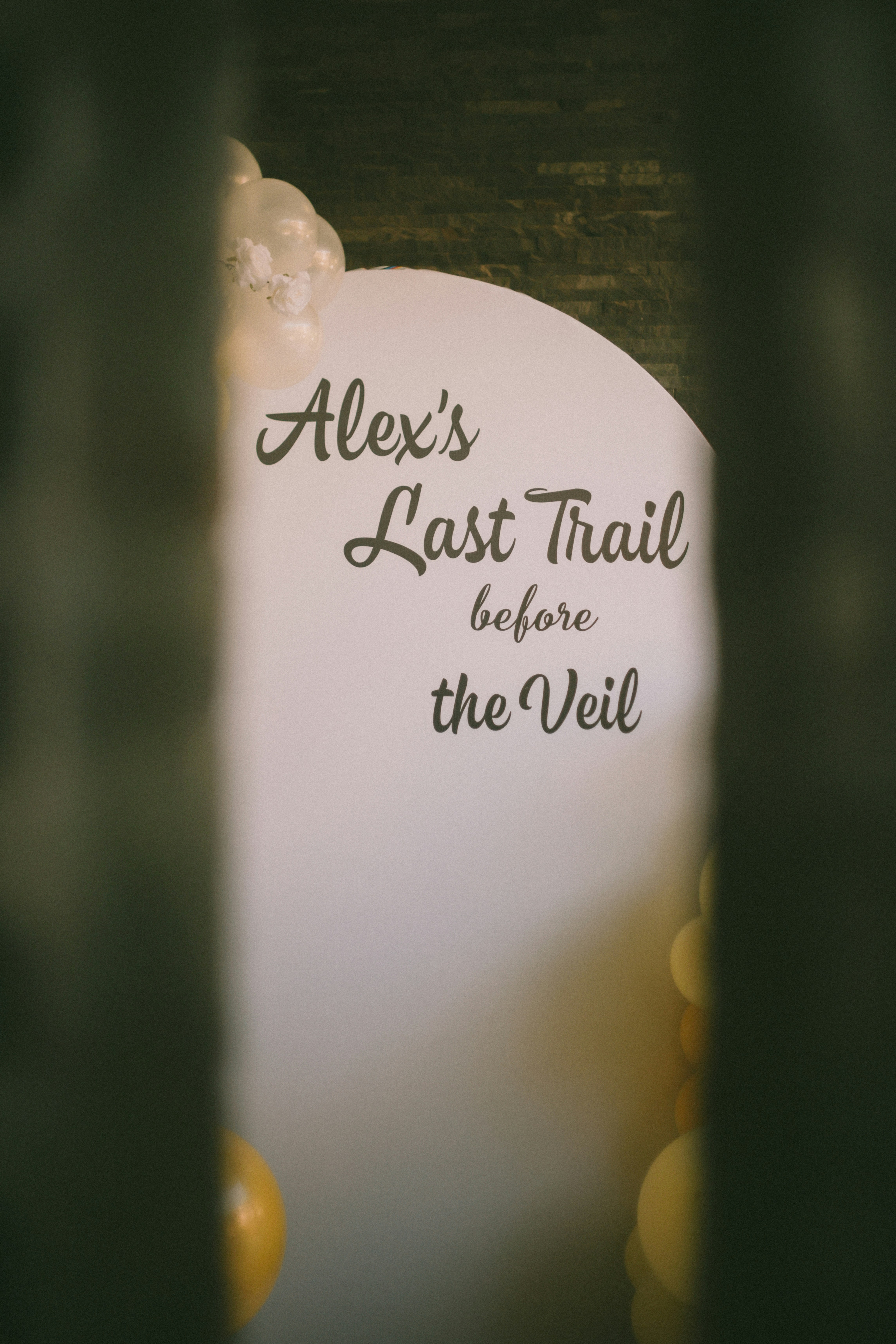 Le dernier sentier d’Alex avant le signe du voile