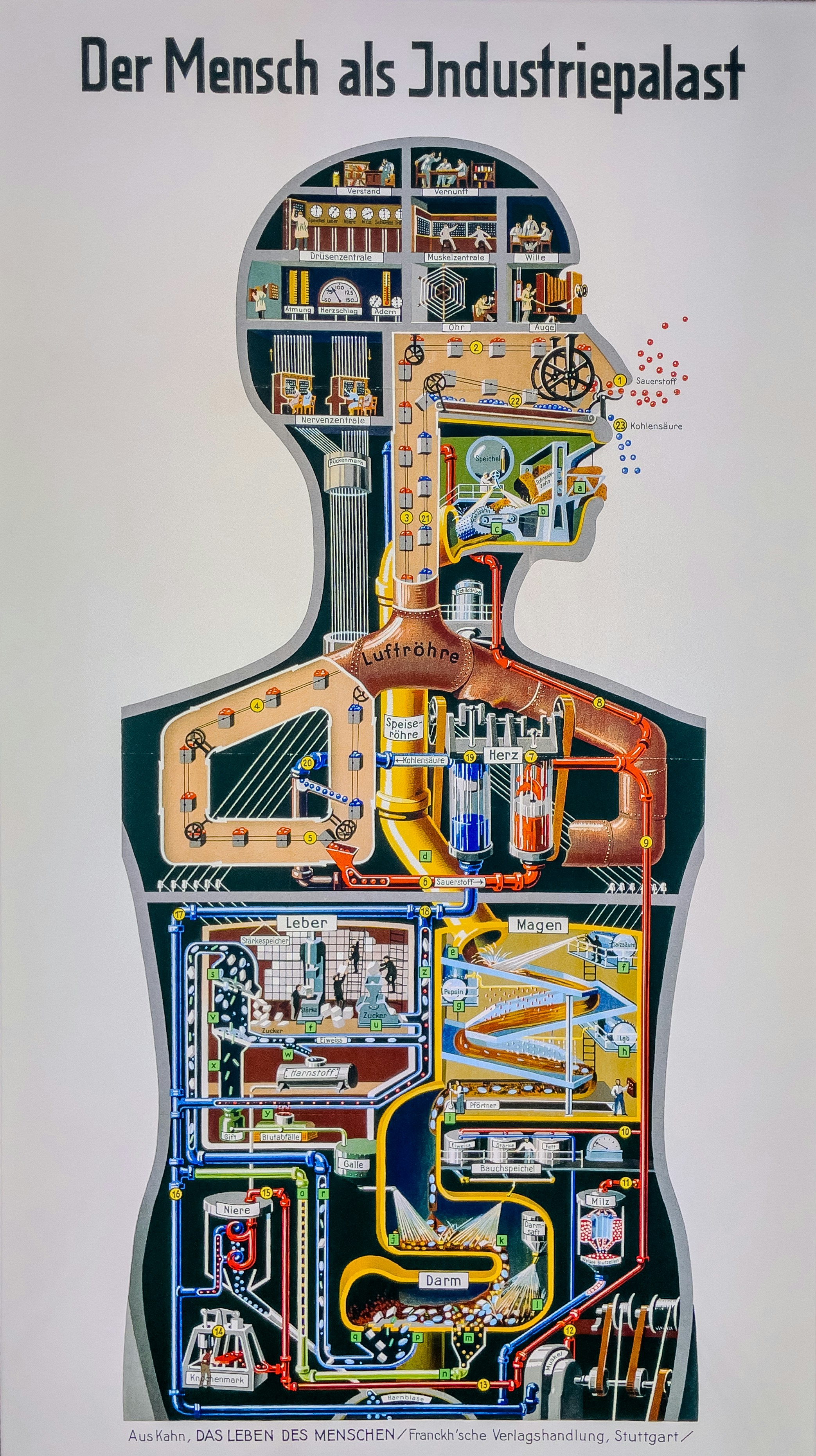 An industrial human body diagram with intricate machinery.