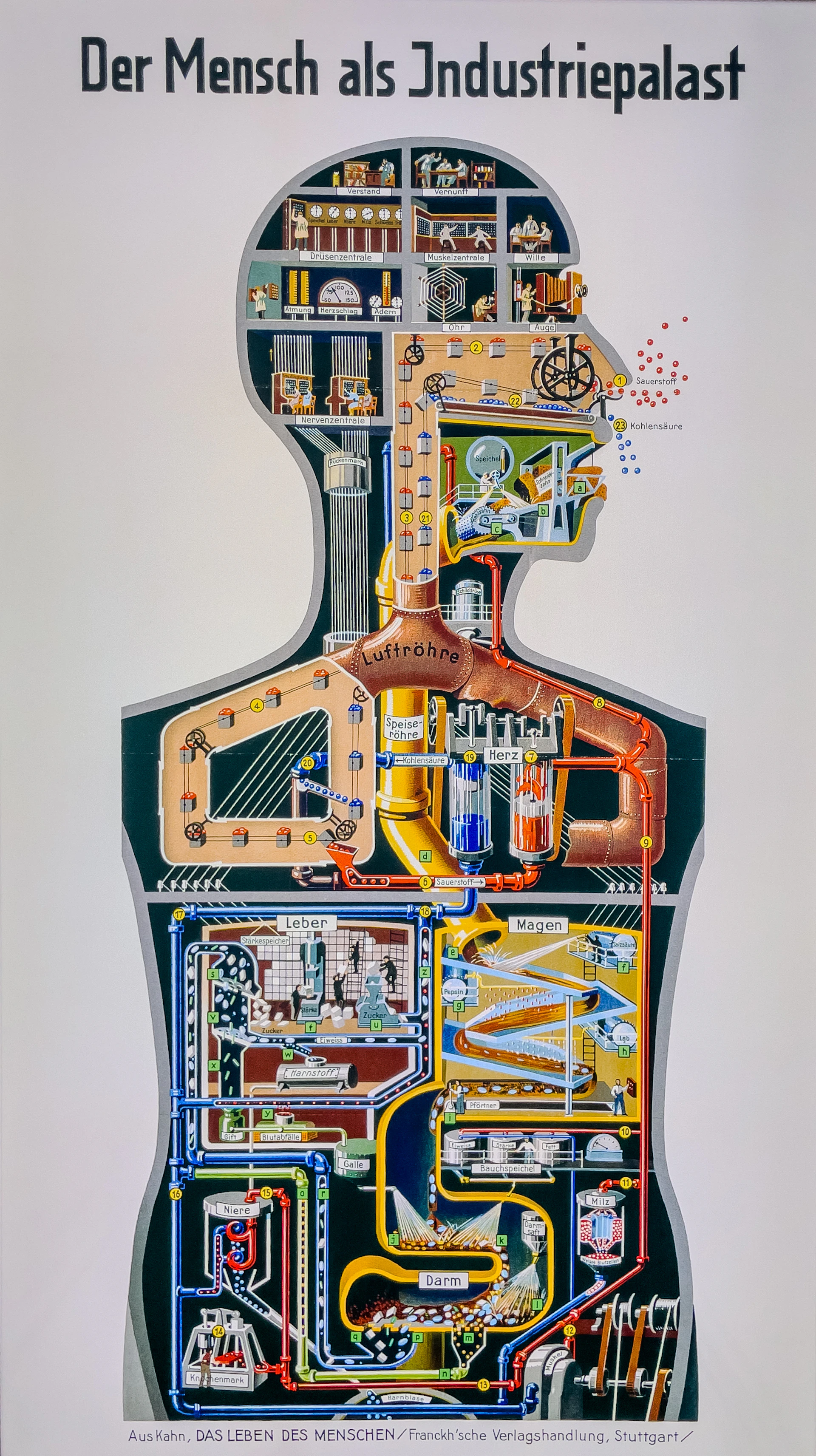 An industrial human body diagram with intricate machinery.