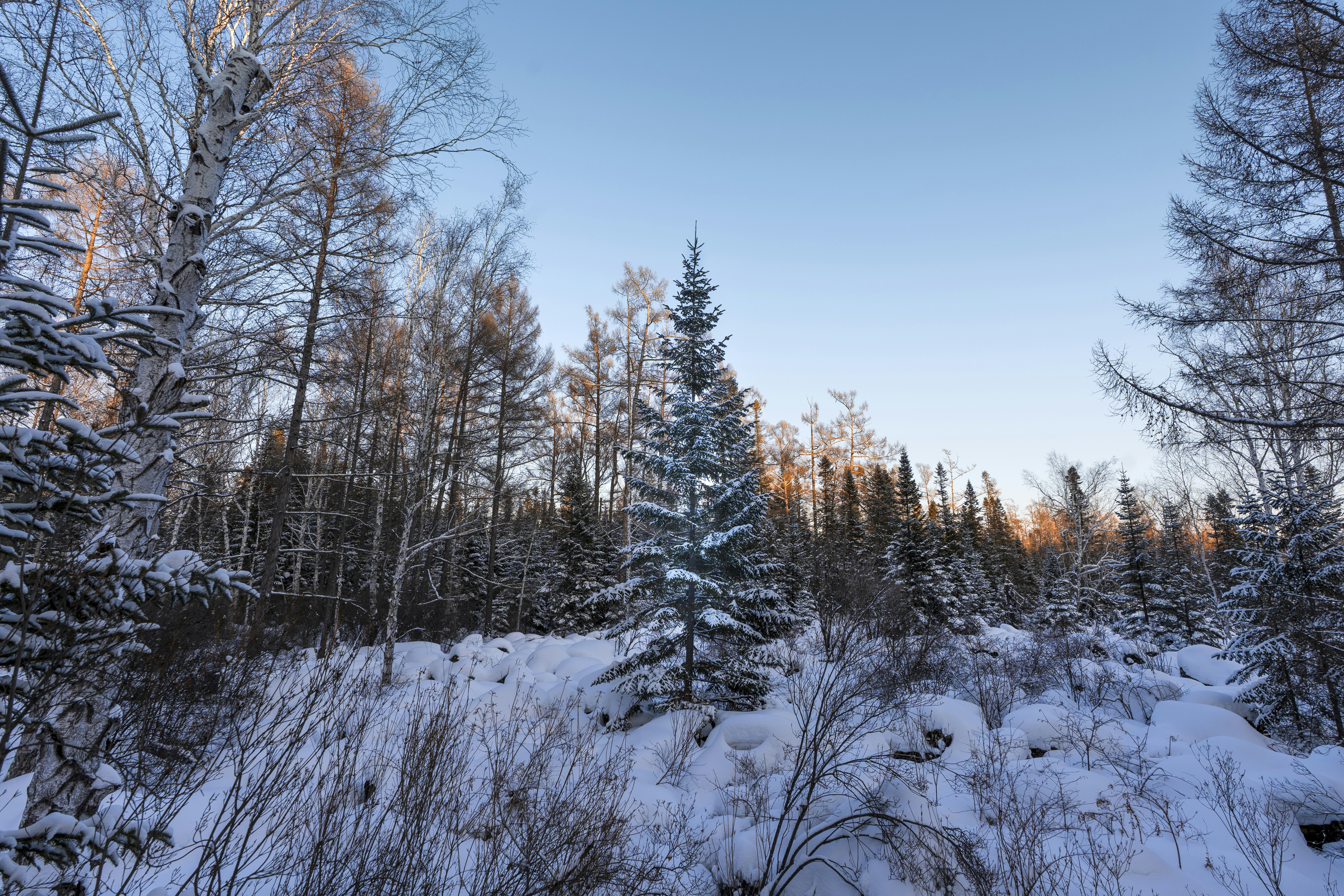 Photo by hitori_hikari