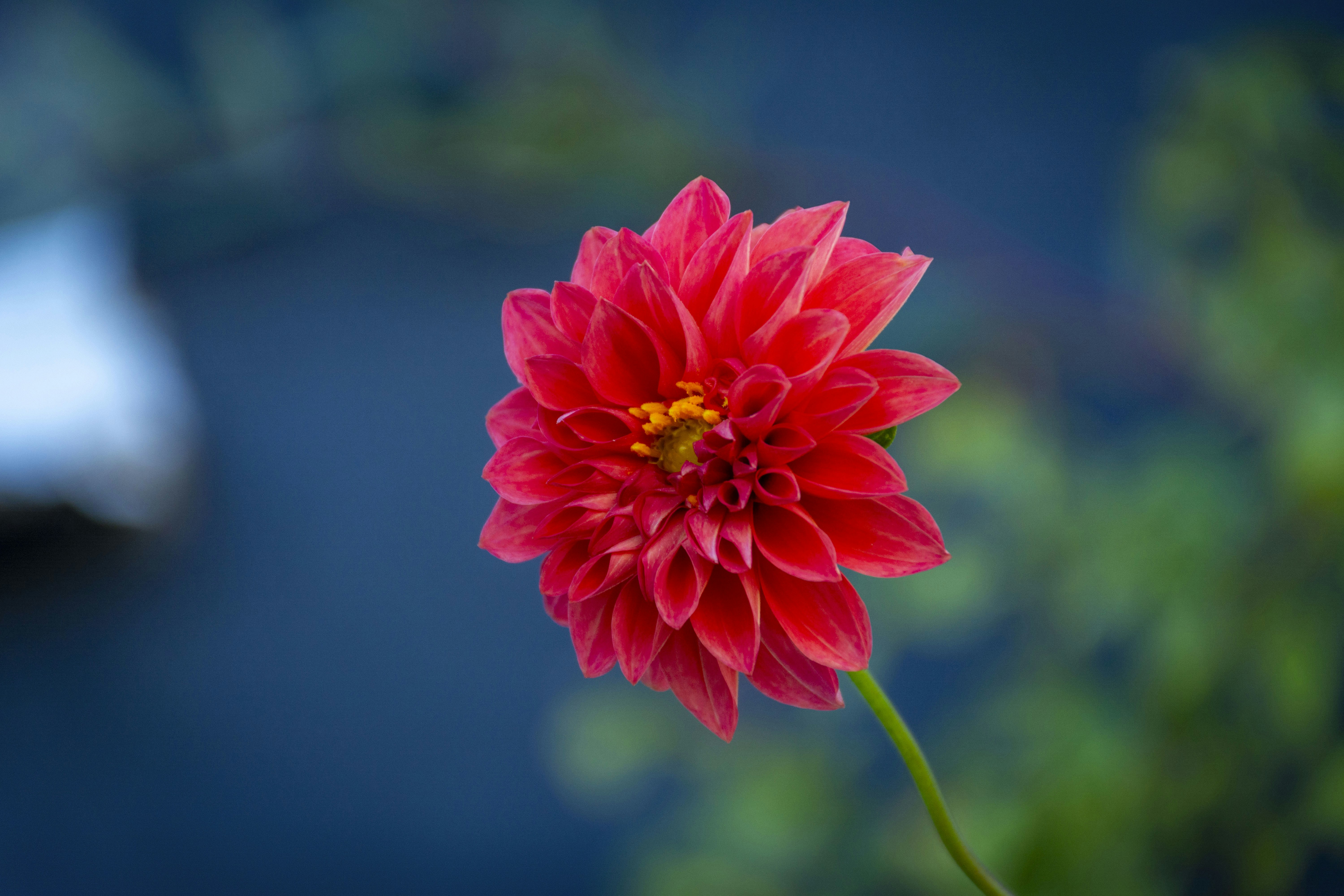 Photo by anand_mahajan1997