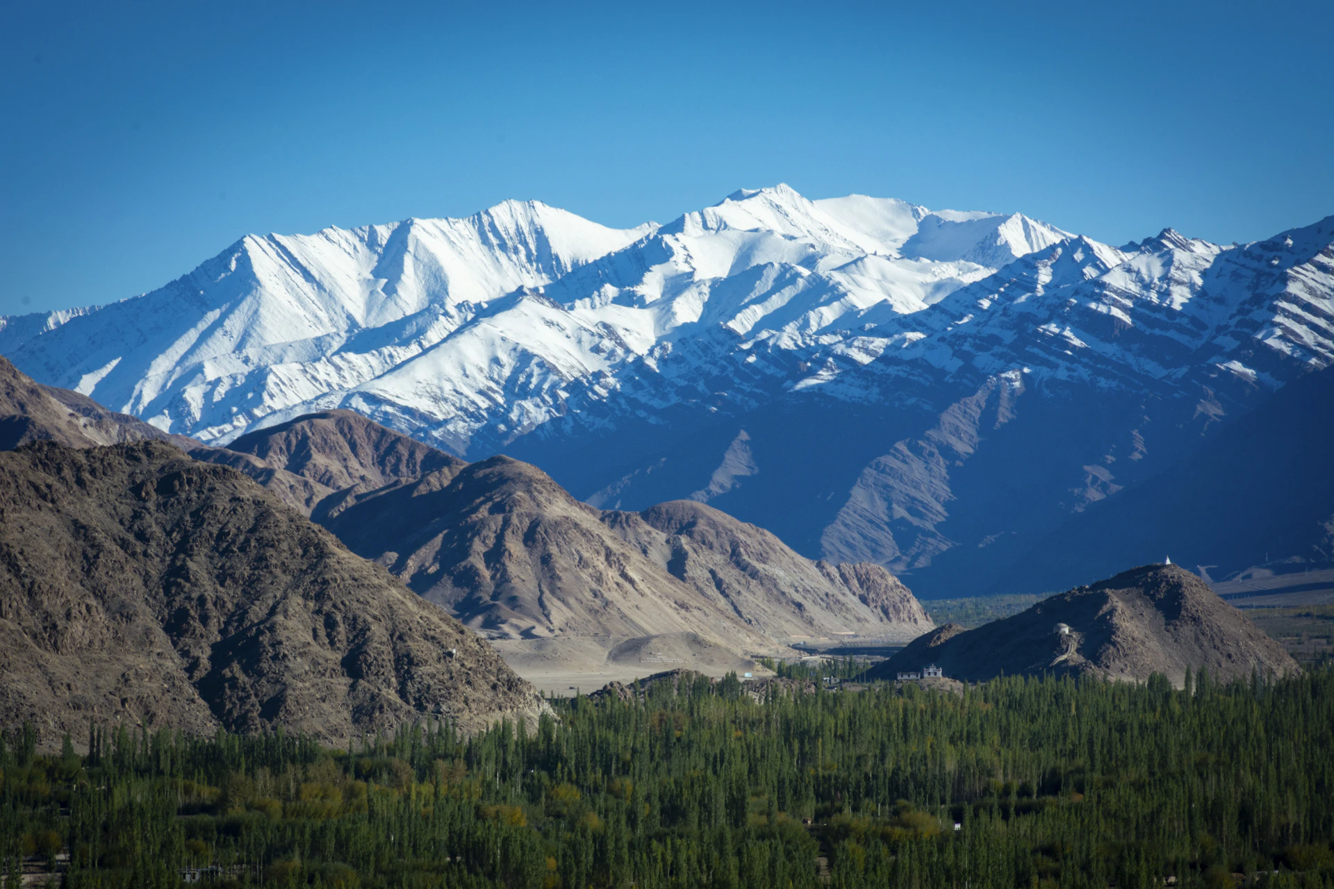 Snow-capped mountains tower over a green valley.