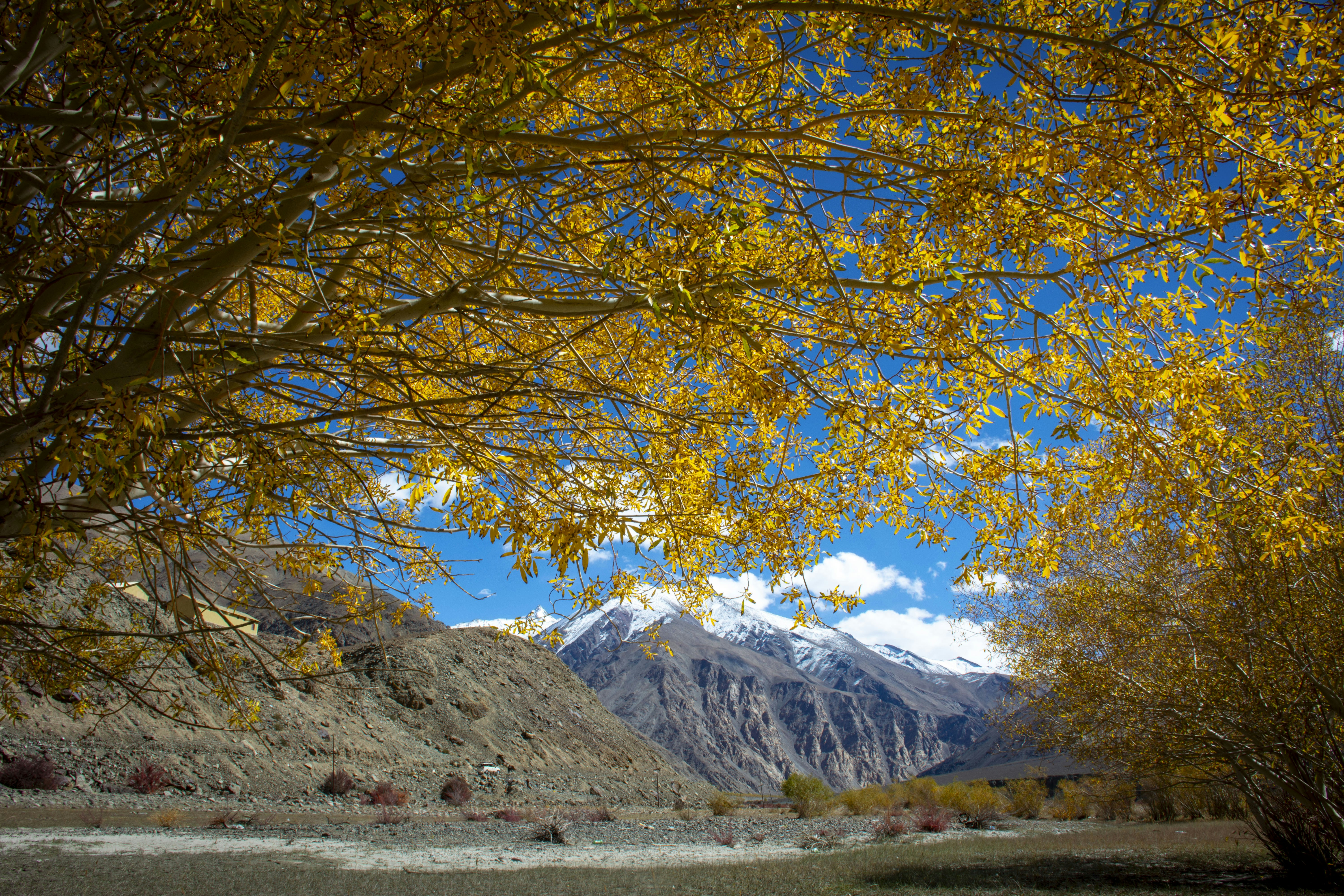 Photo by anand_mahajan1997