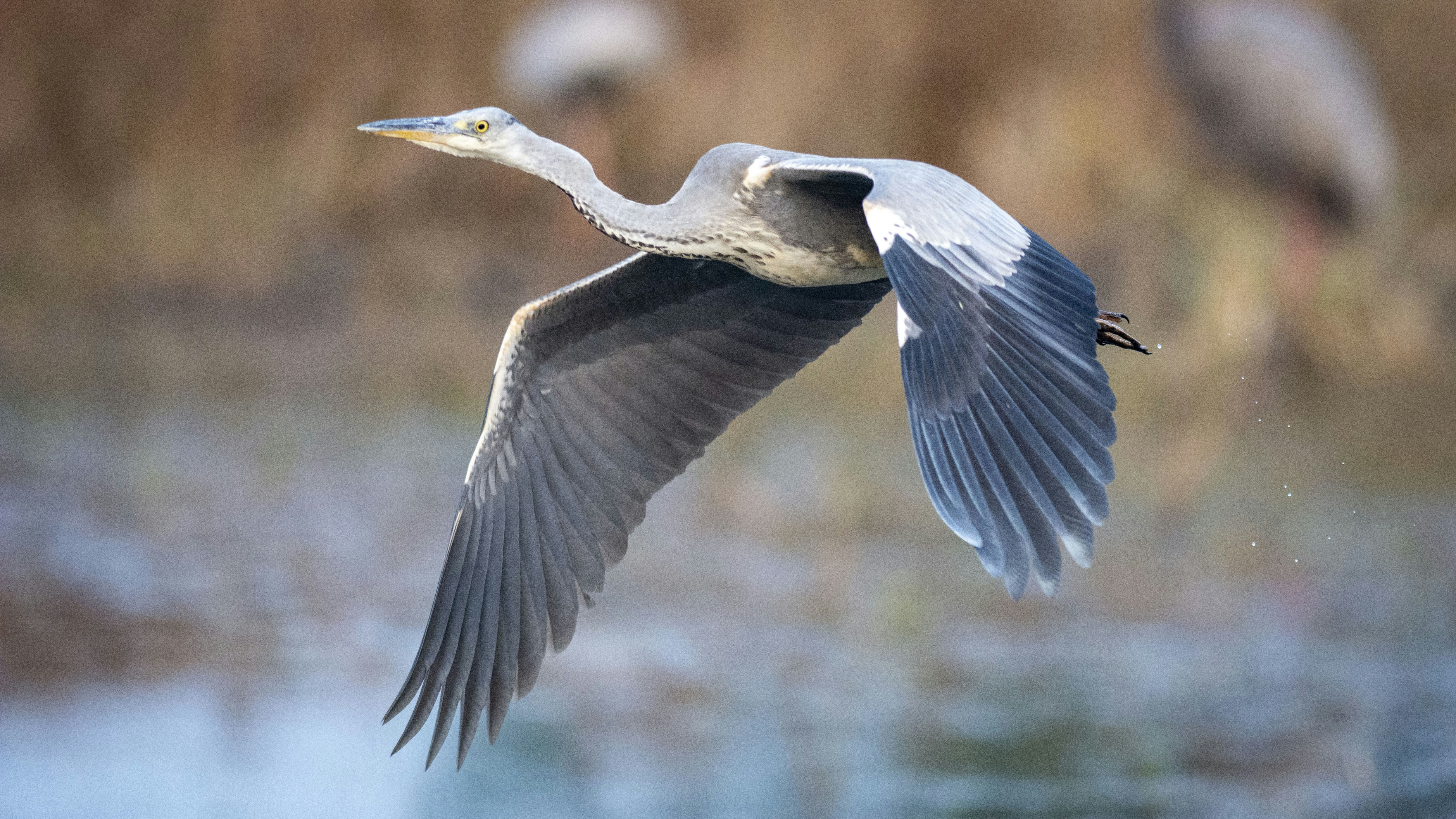 Photo by anand_mahajan1997