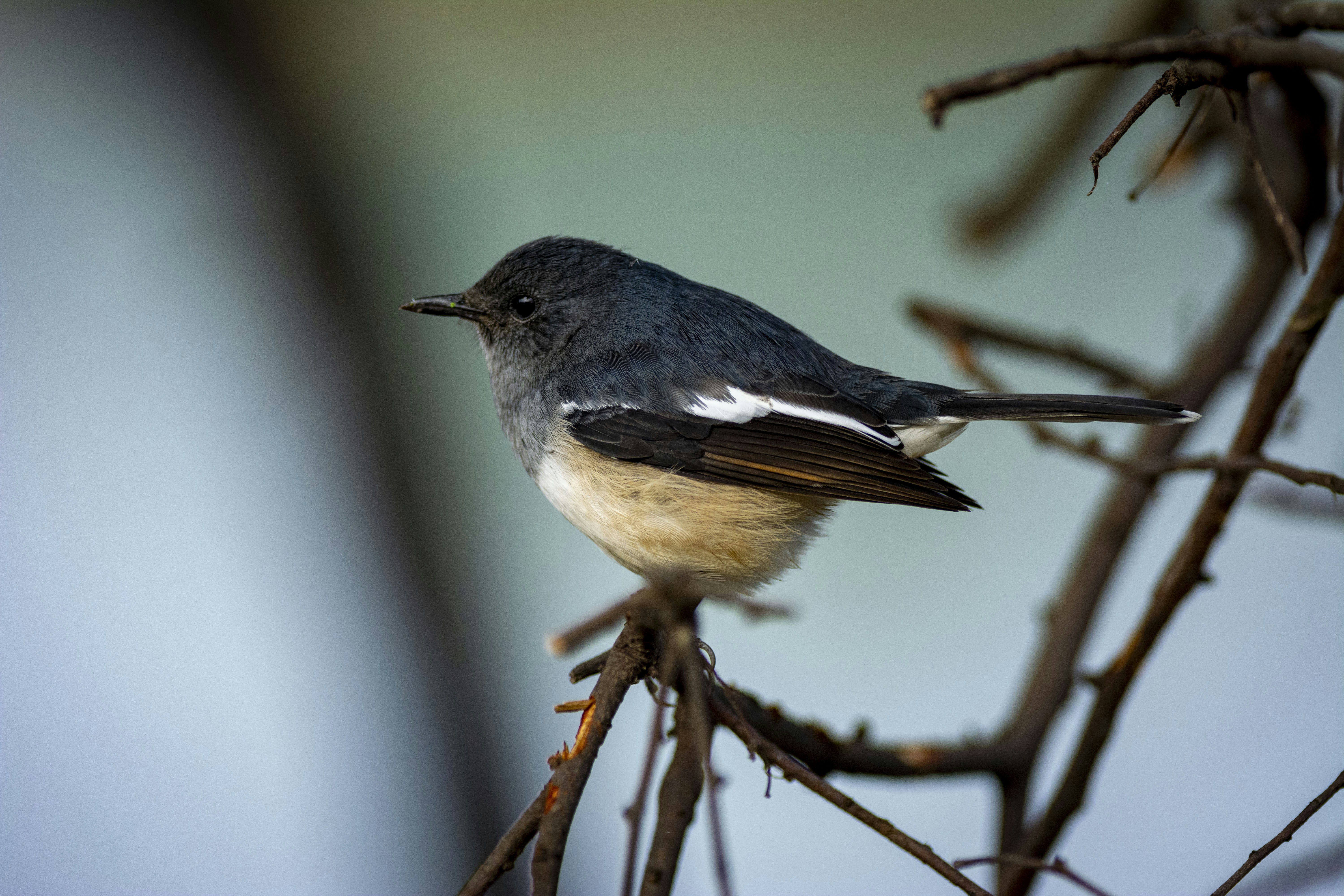 Photo by anand_mahajan1997