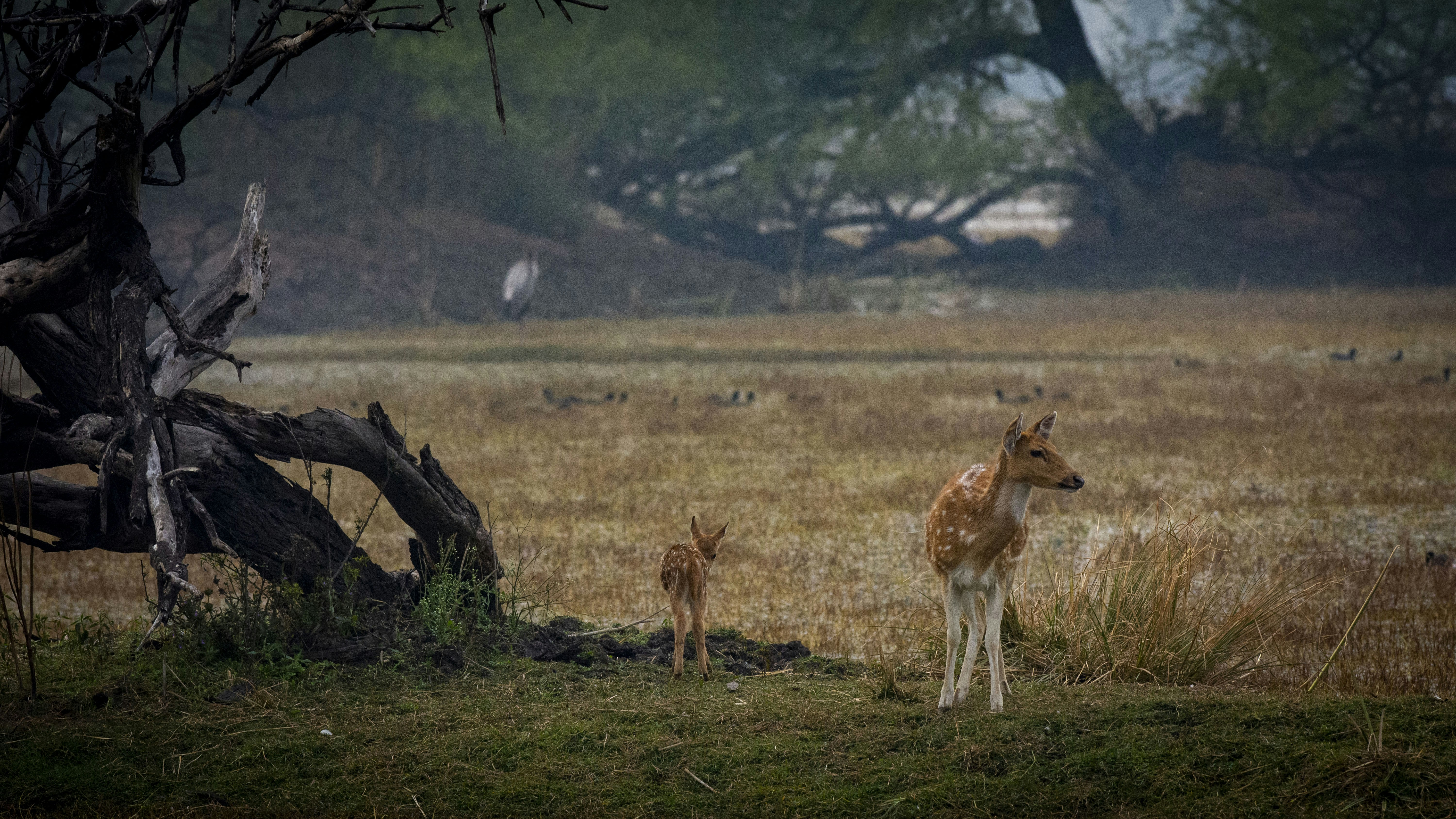 Photo by anand_mahajan1997