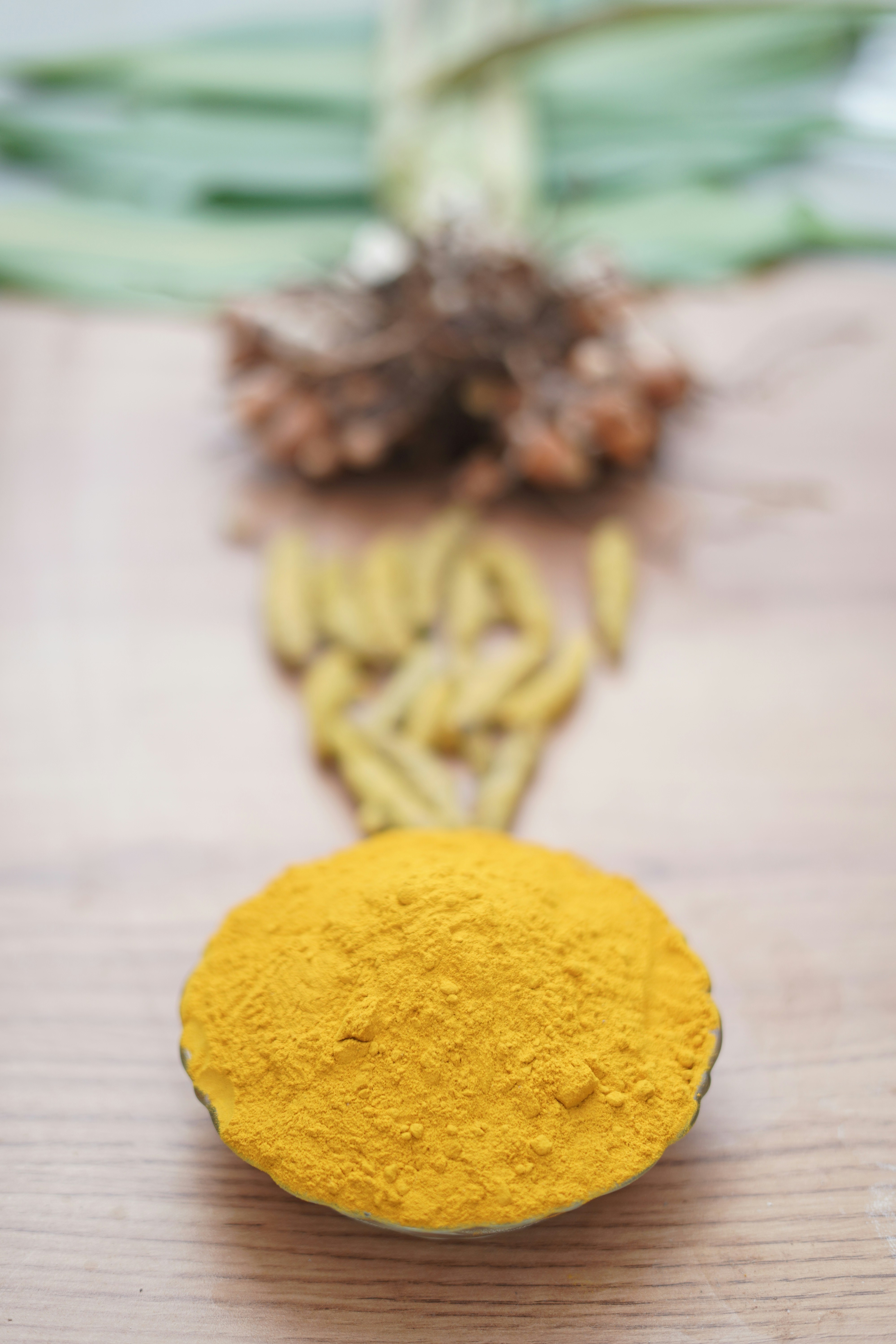 Photo by ikshanaproductions