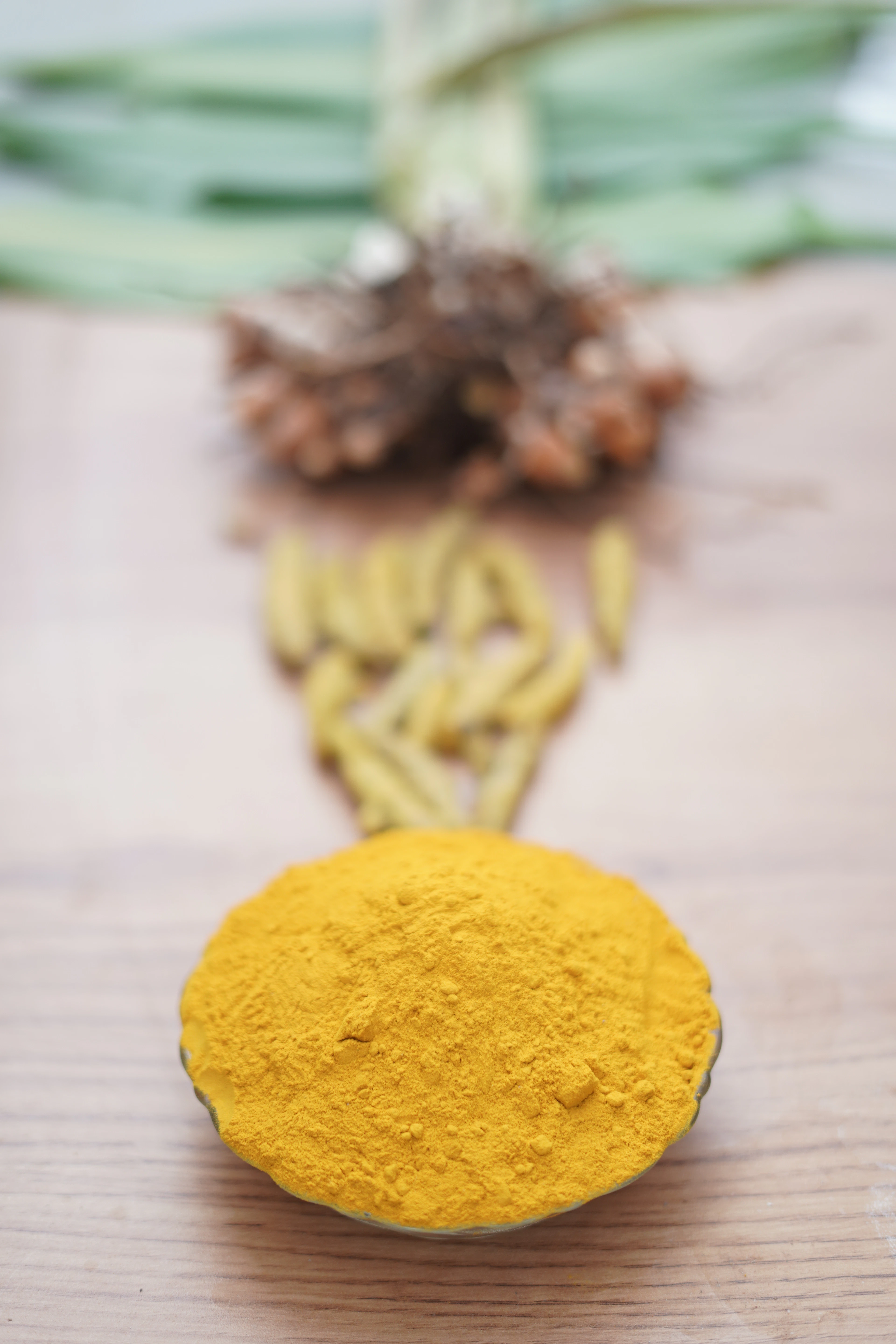 EverPure Turmeric Powder — image 1
