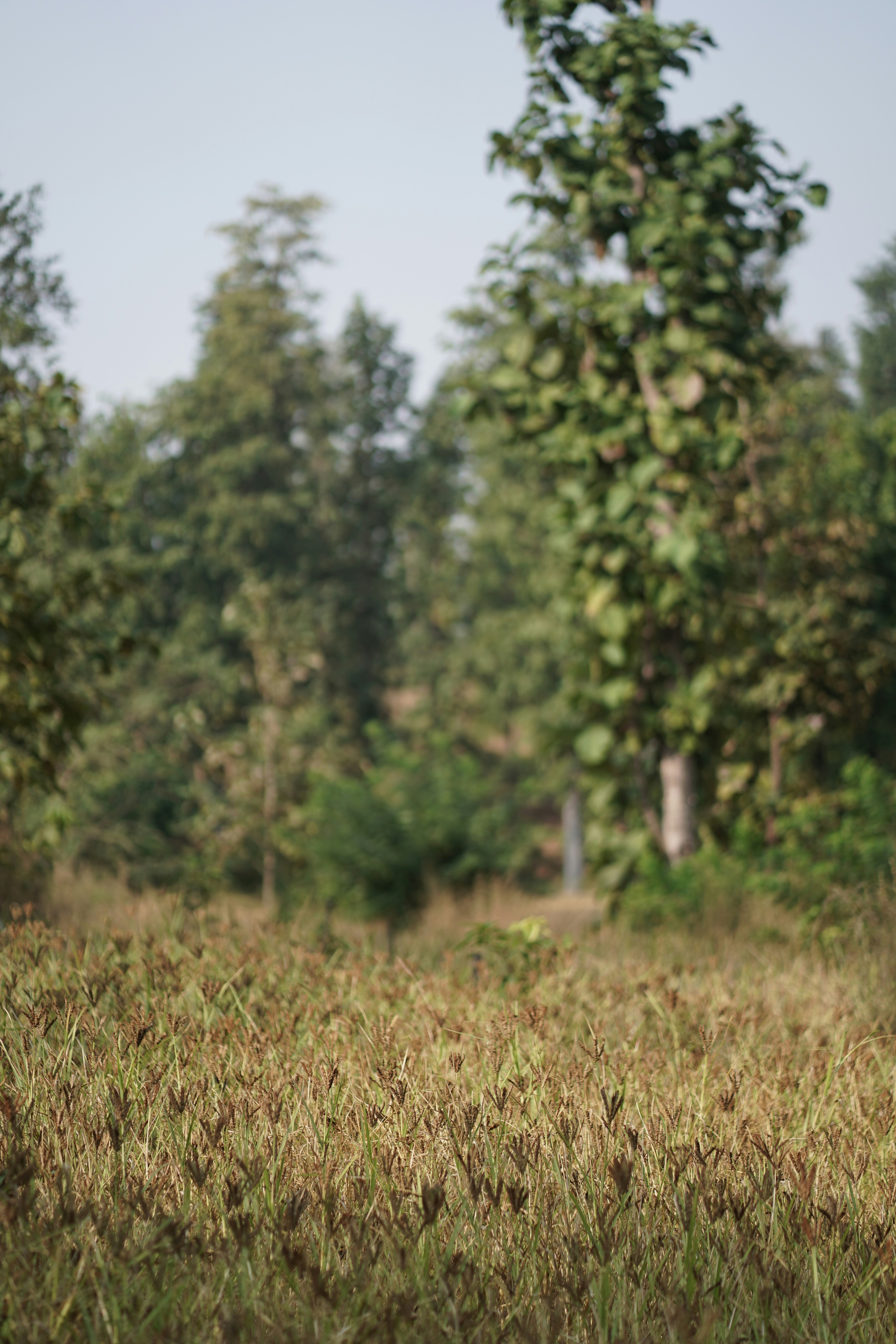 Photo by ikshanaproductions