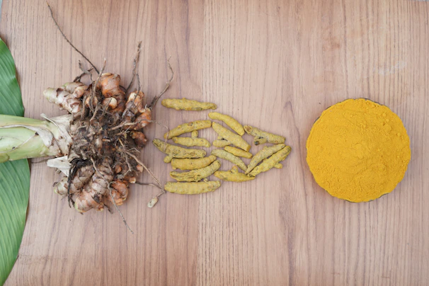 Turmeric root, dried pieces, and powder on a wooden background