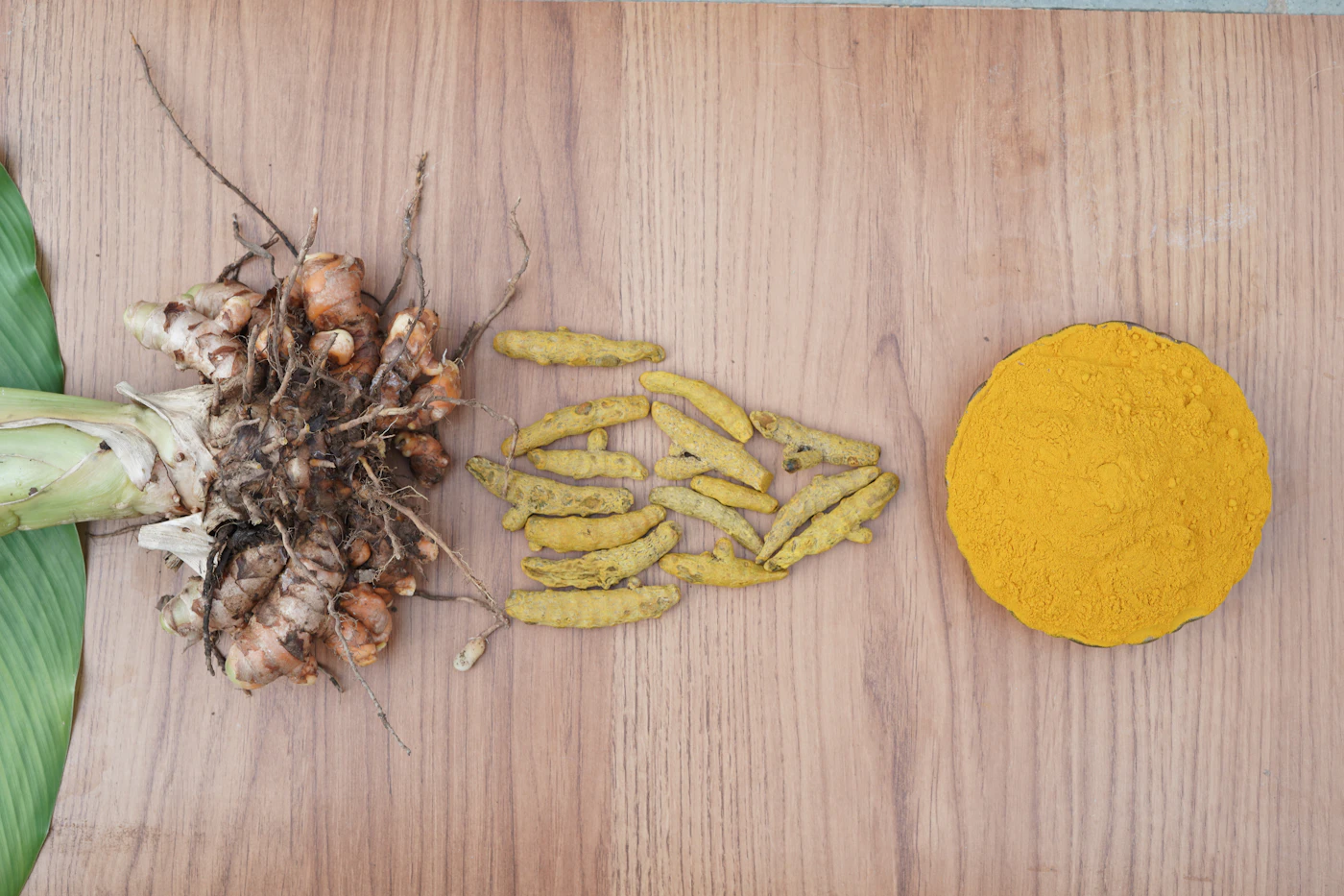 Turmeric root, slices and powder used in Indian monsoon immunity kadha