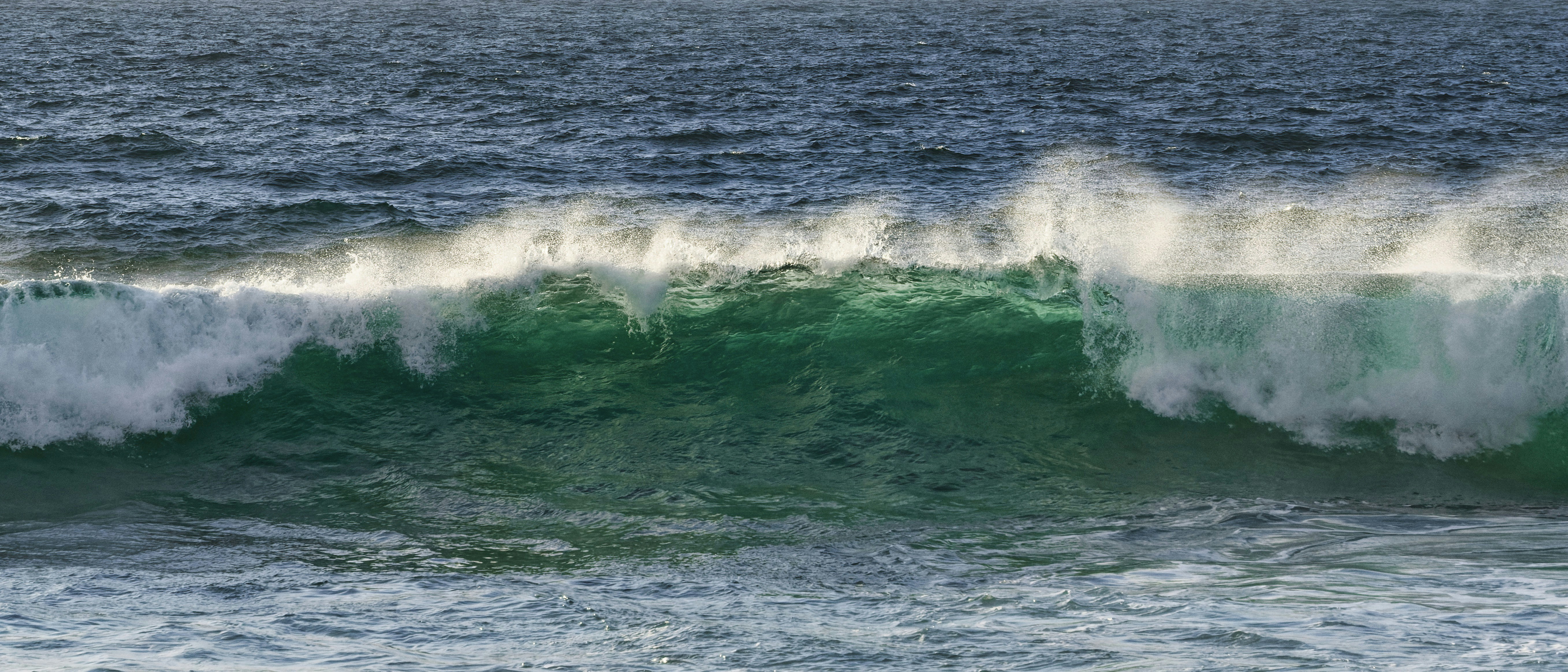 A powerful ocean wave crashes with white foam.