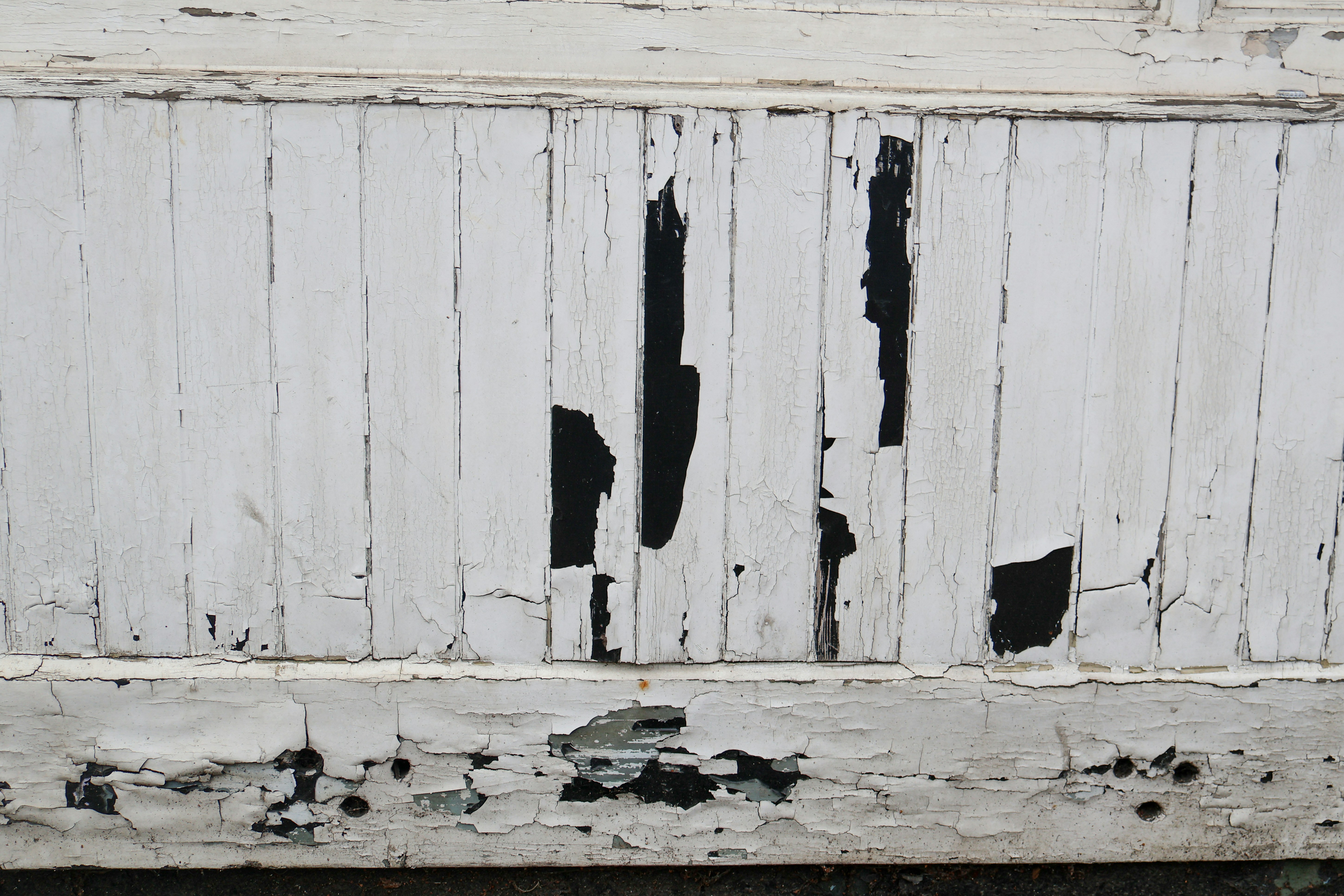 Photo by tanyabarrow