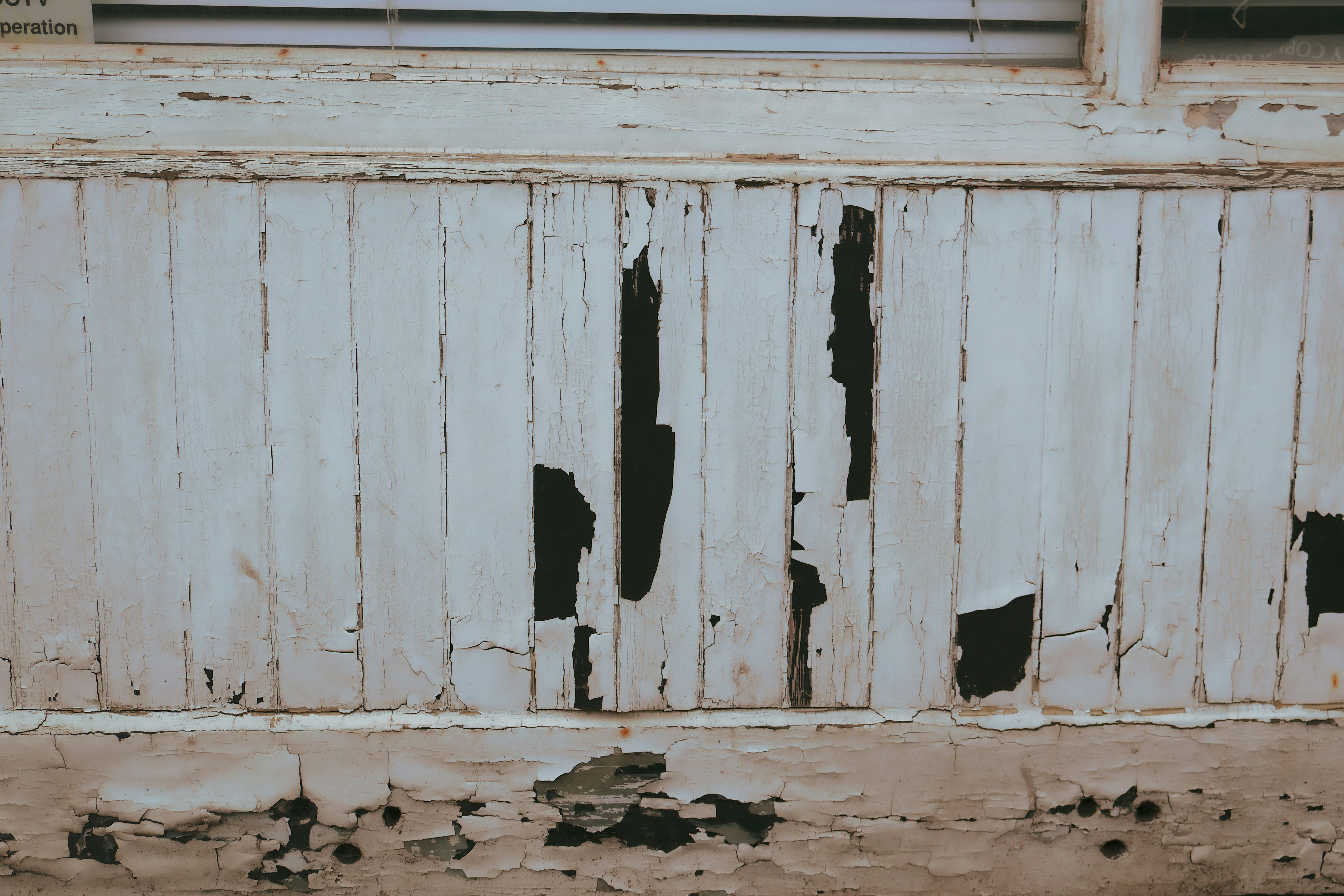 Photo by tanyabarrow