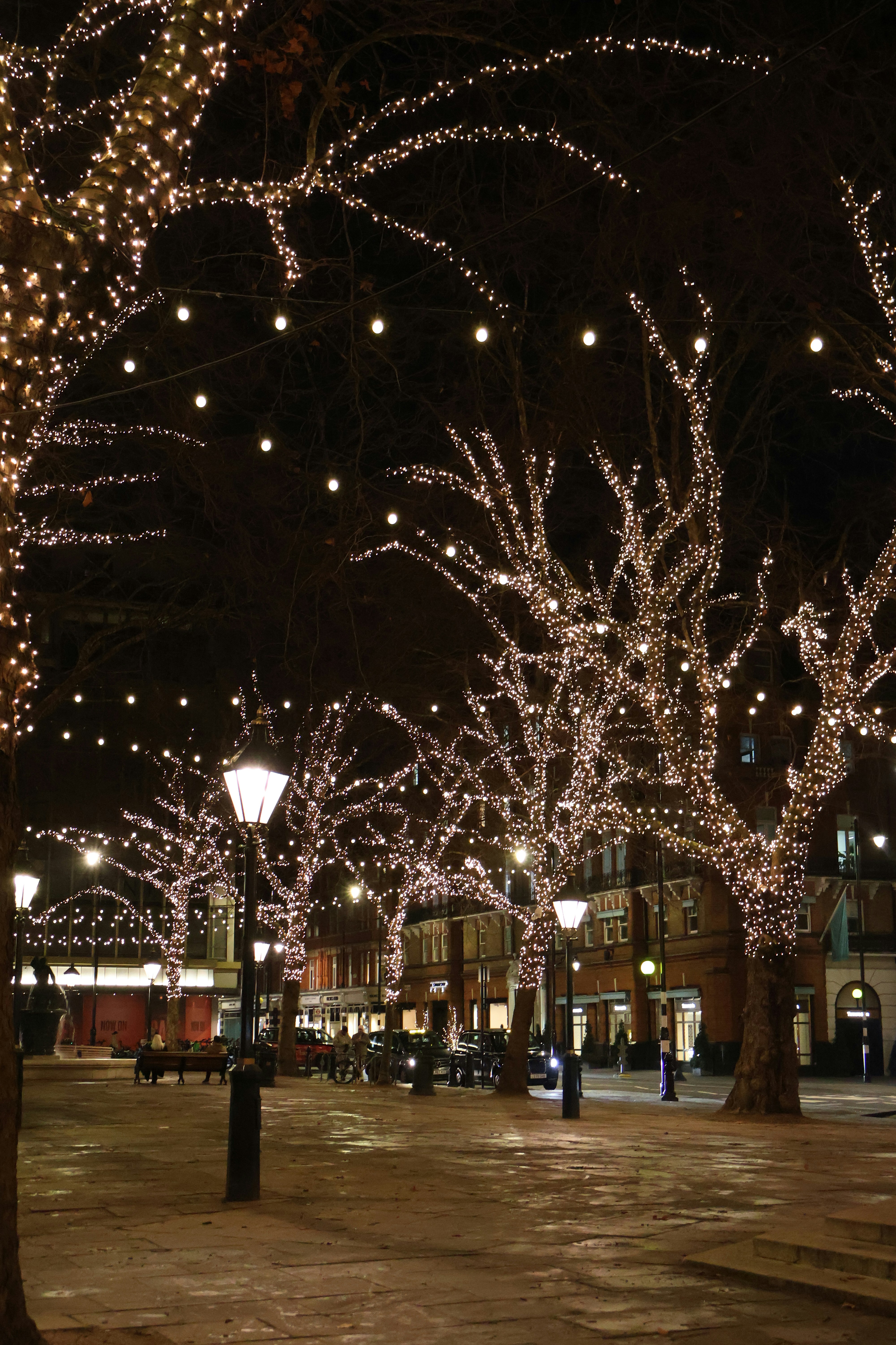 Photo by tanyabarrow