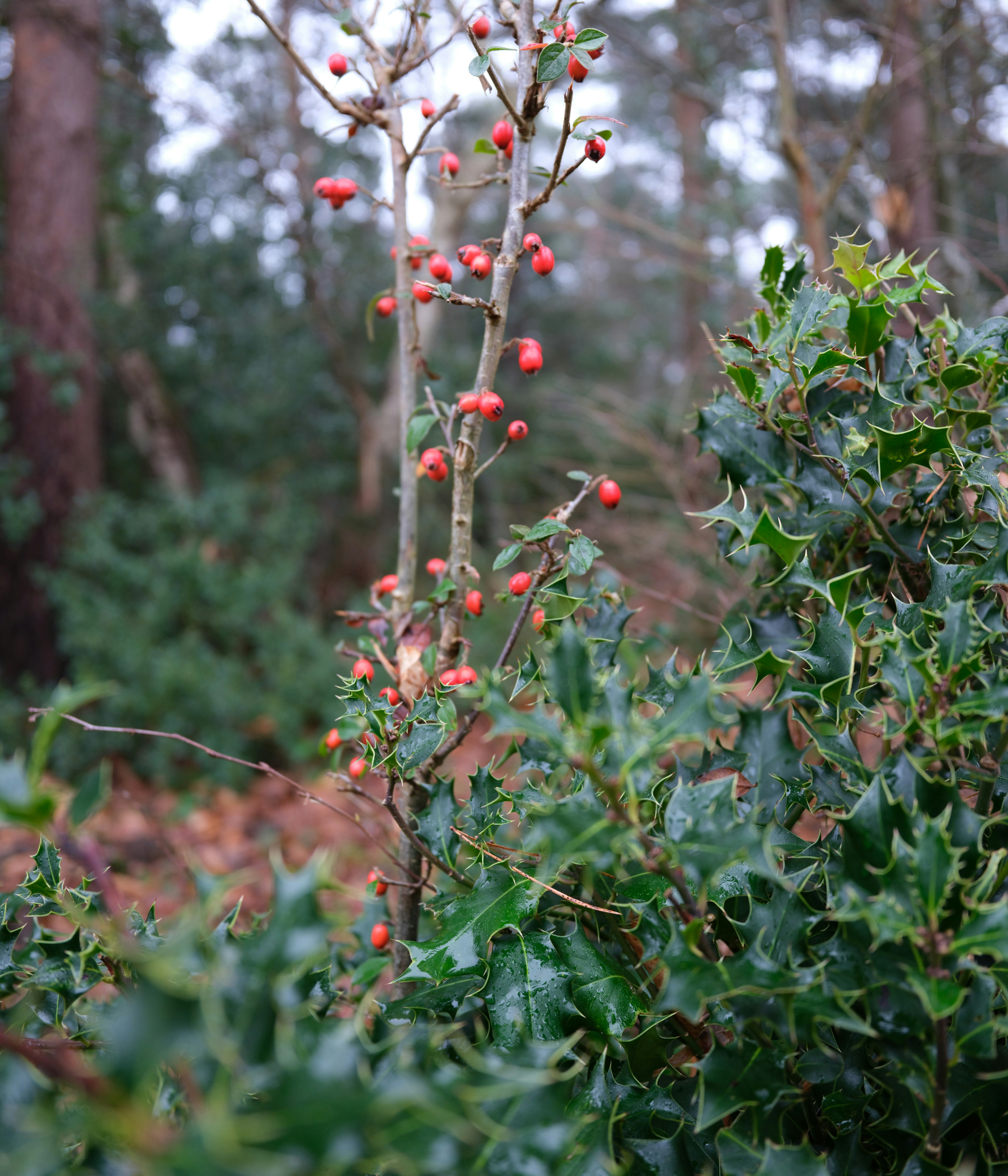 Photo by tanyabarrow