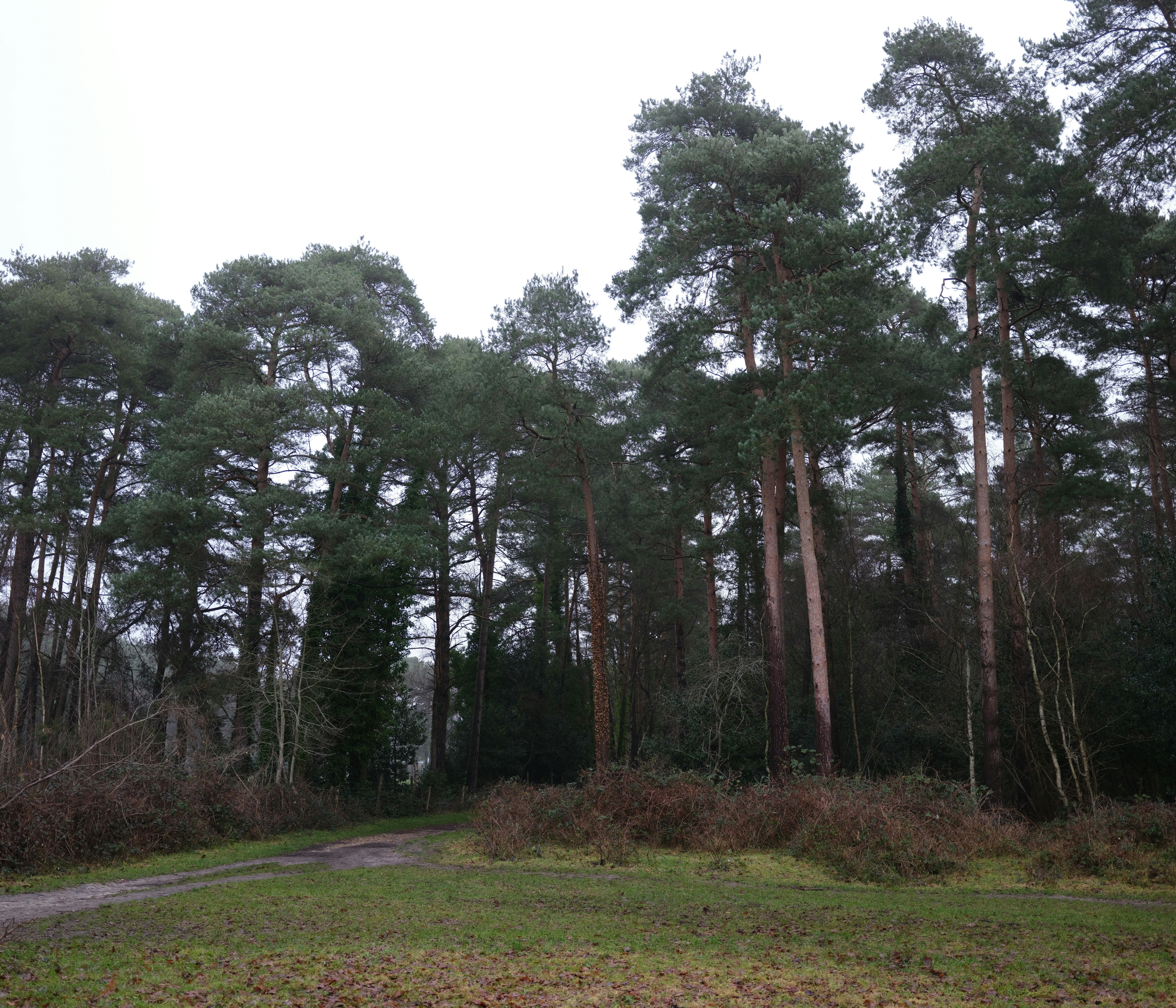 Photo by tanyabarrow