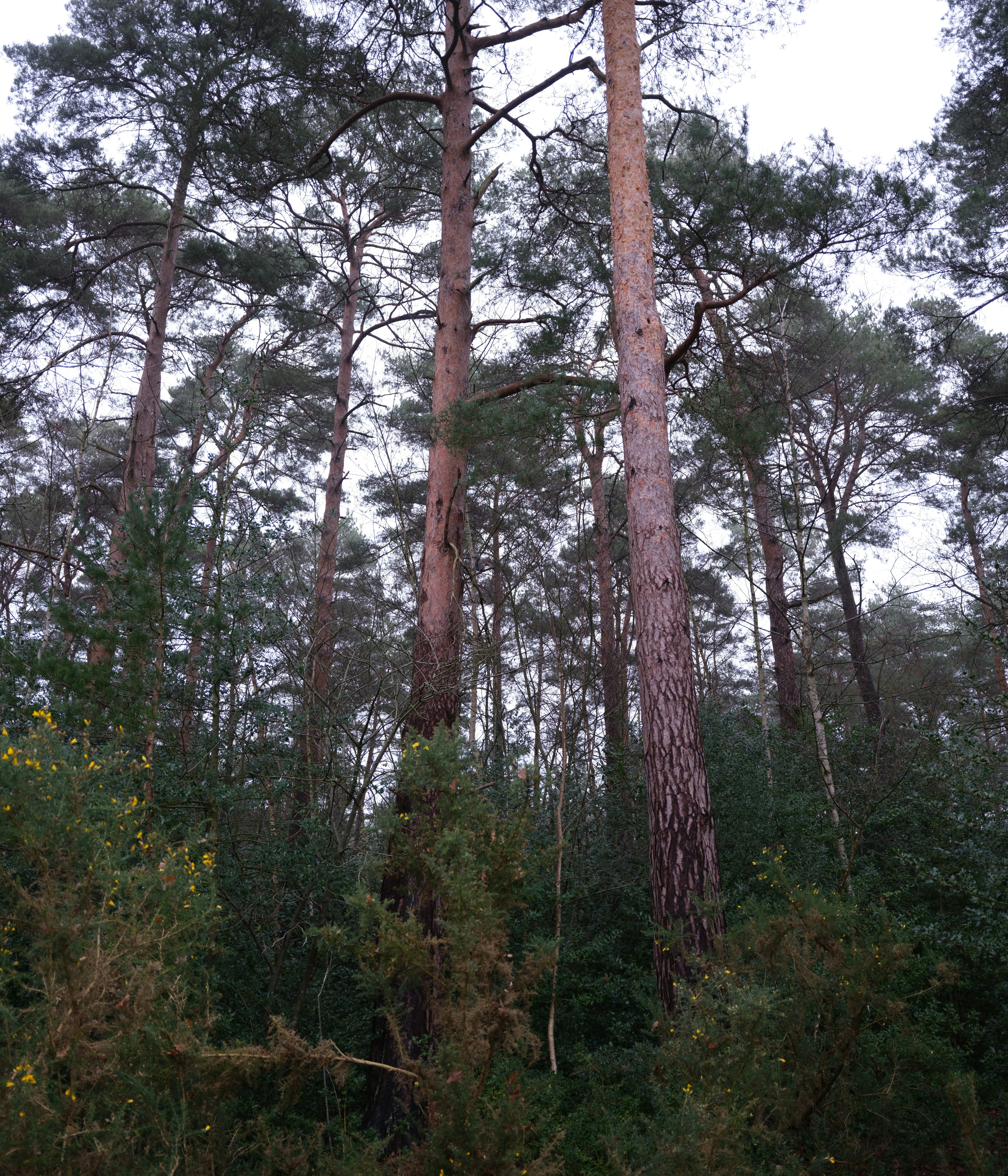 Photo by tanyabarrow