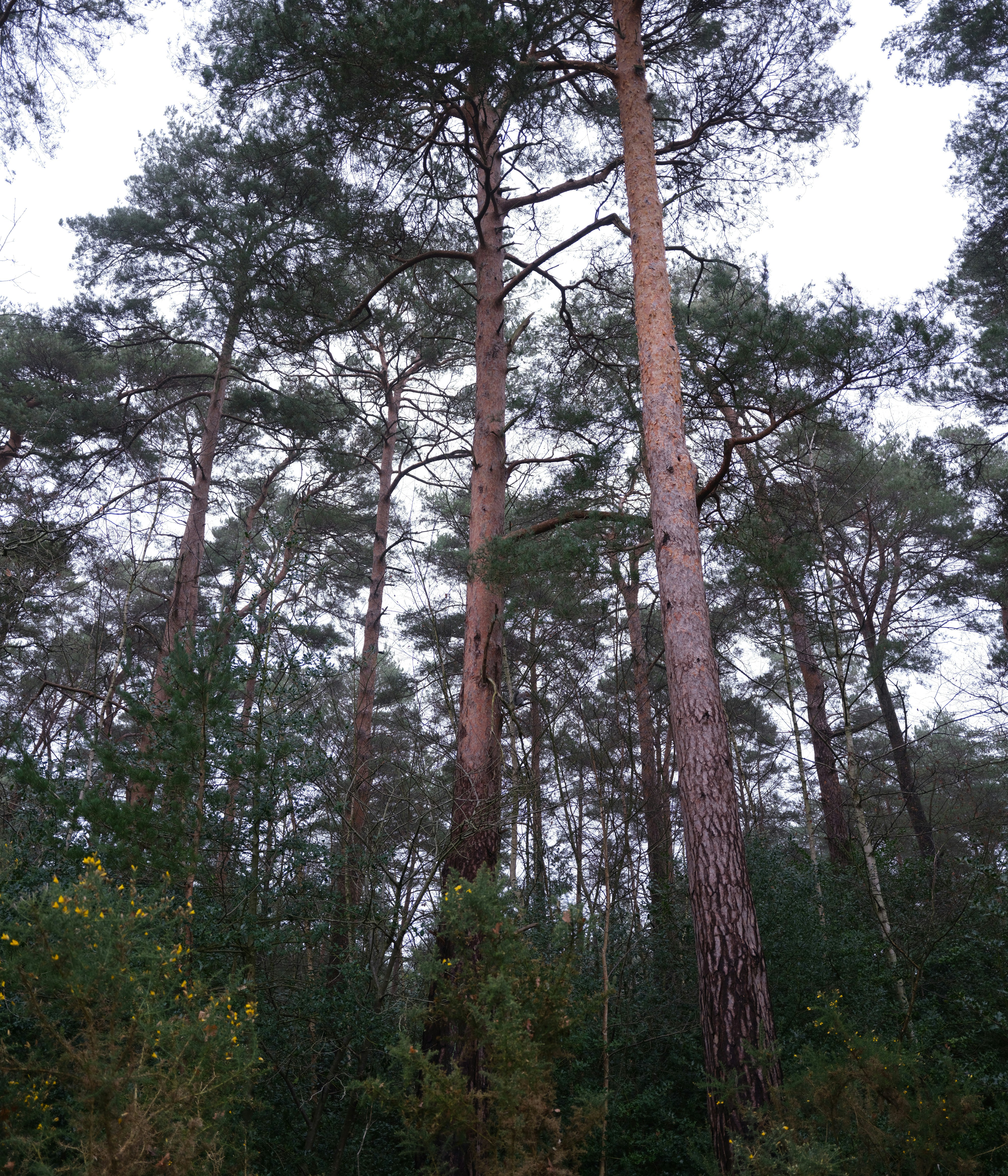 Photo by tanyabarrow