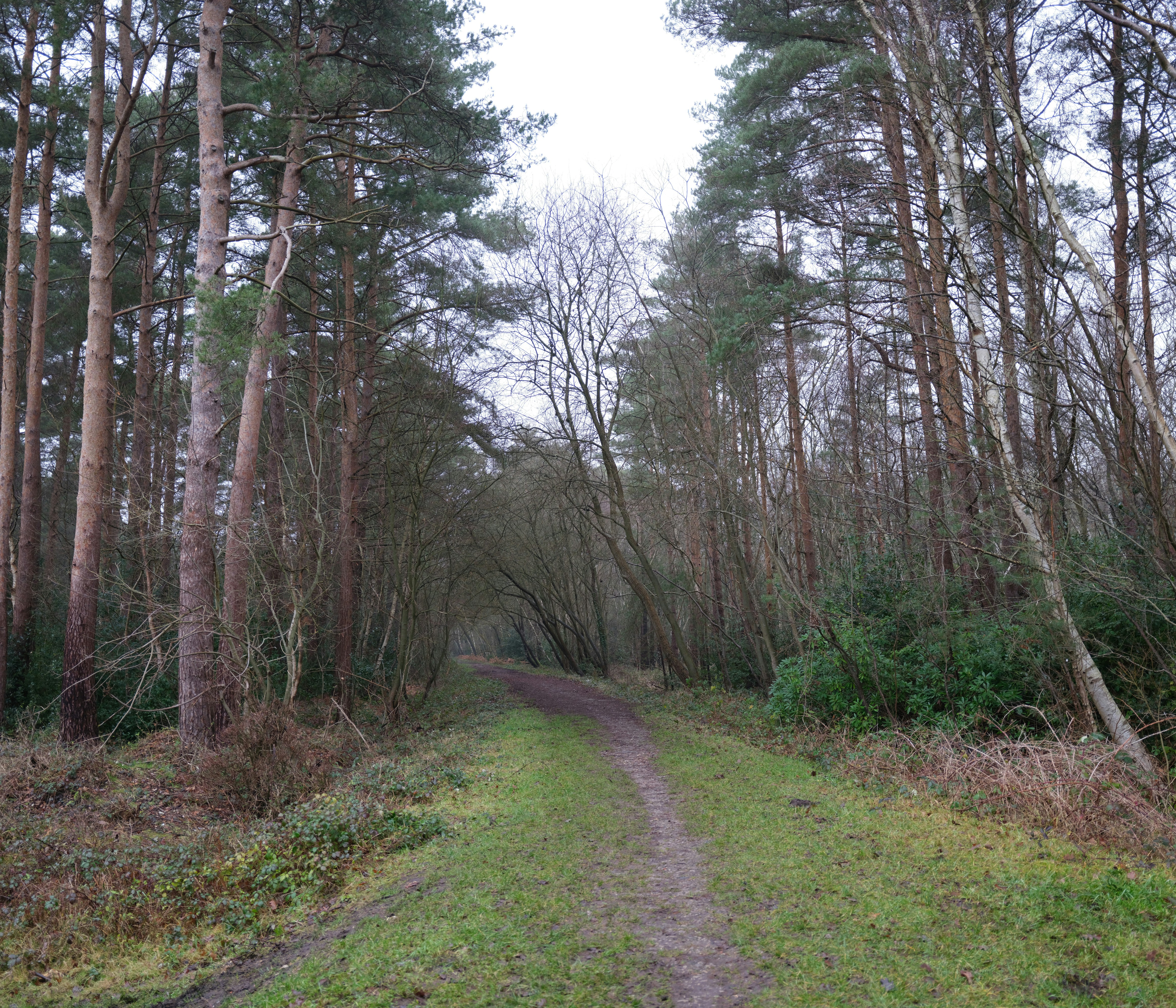 Photo by tanyabarrow