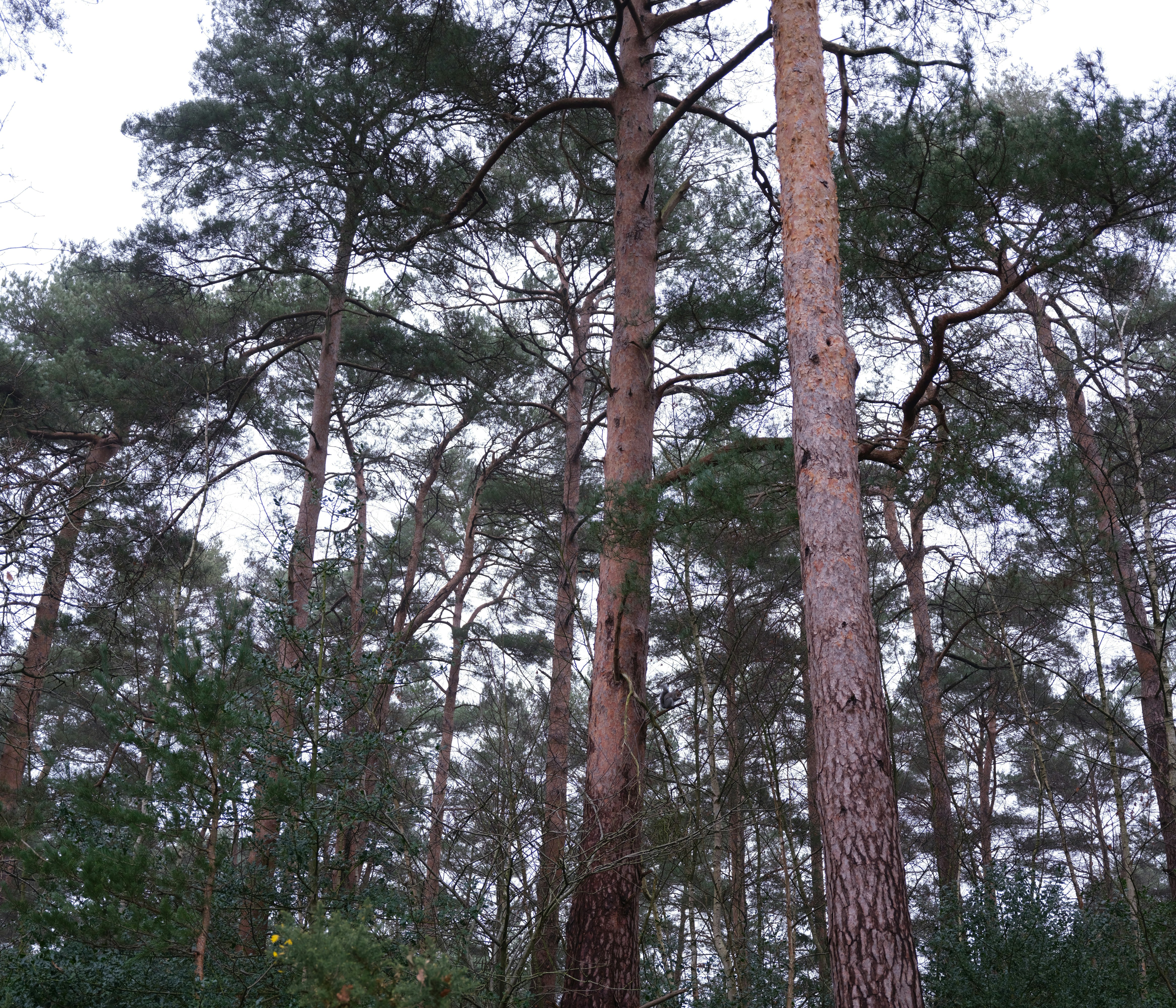 Photo by tanyabarrow