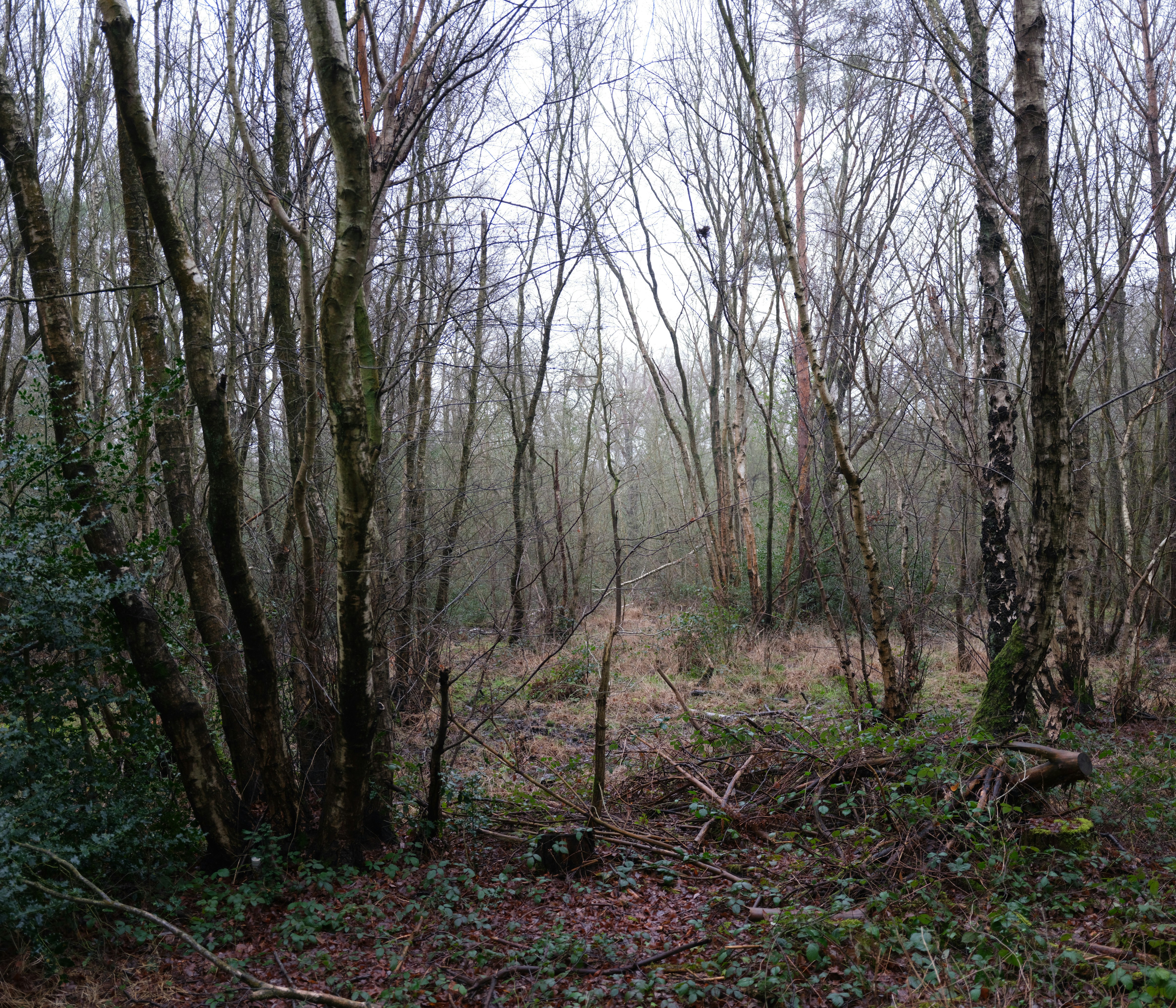 Photo by tanyabarrow