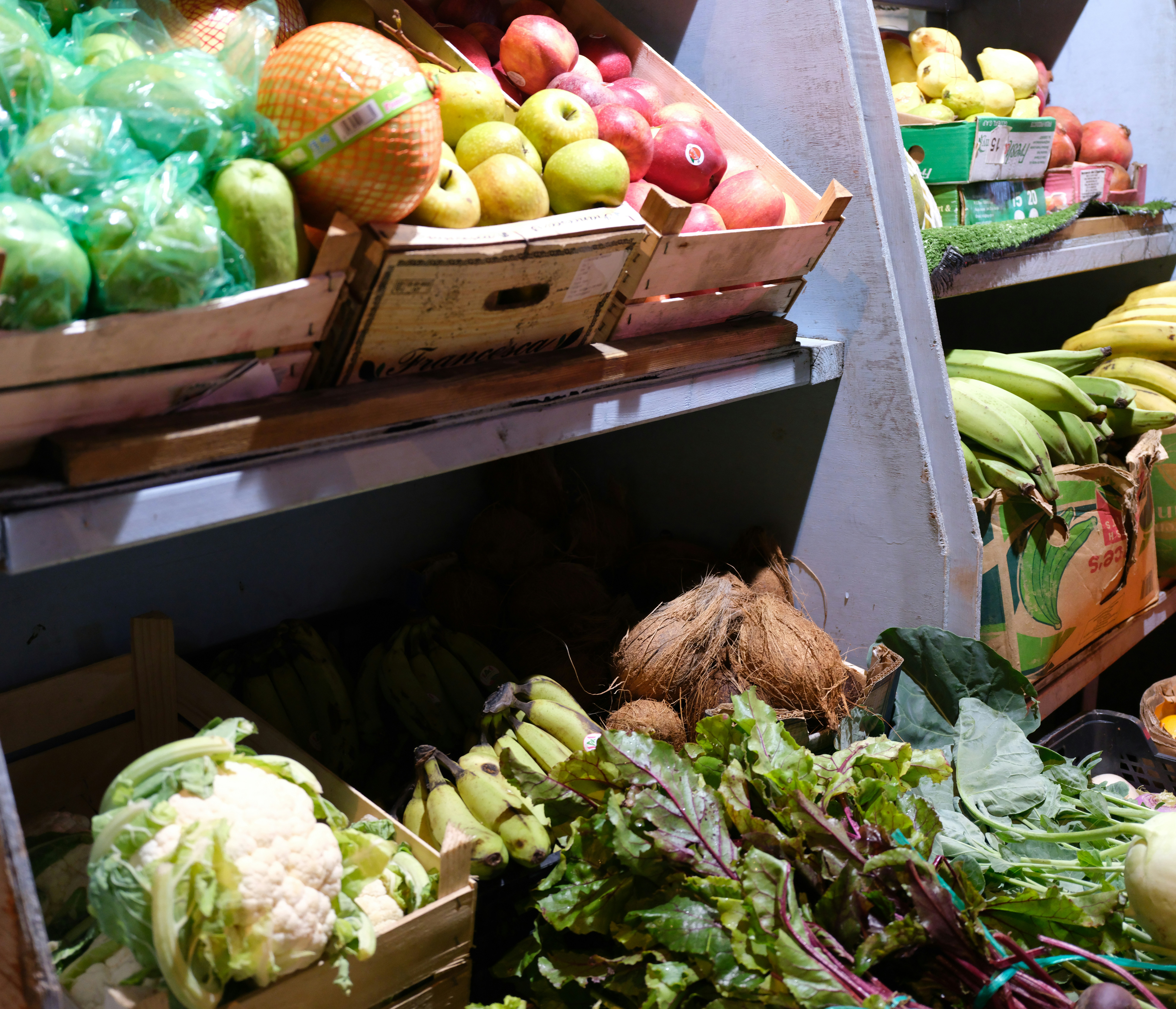 Photo by tanyabarrow