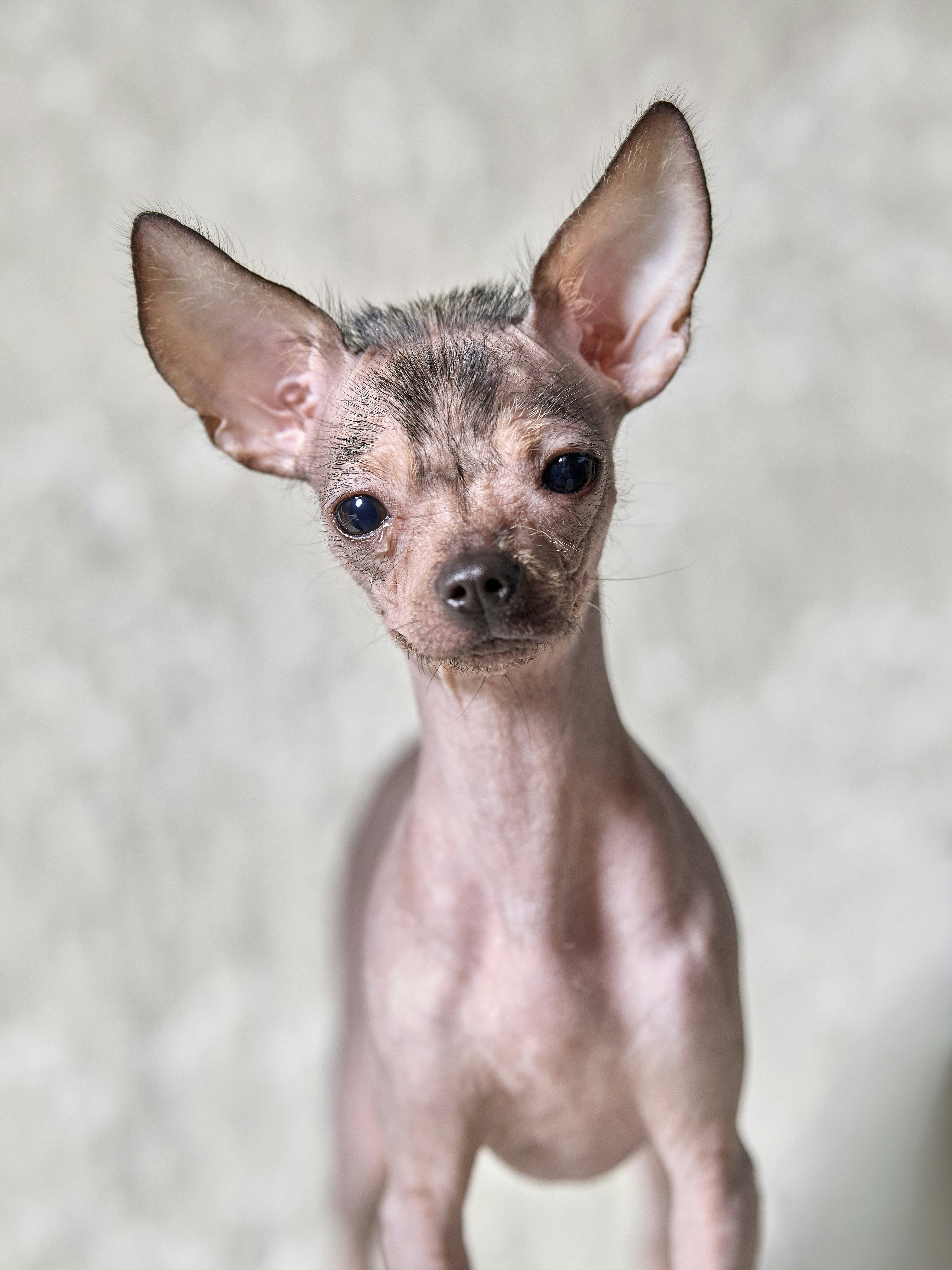 Photo by erwinbosman