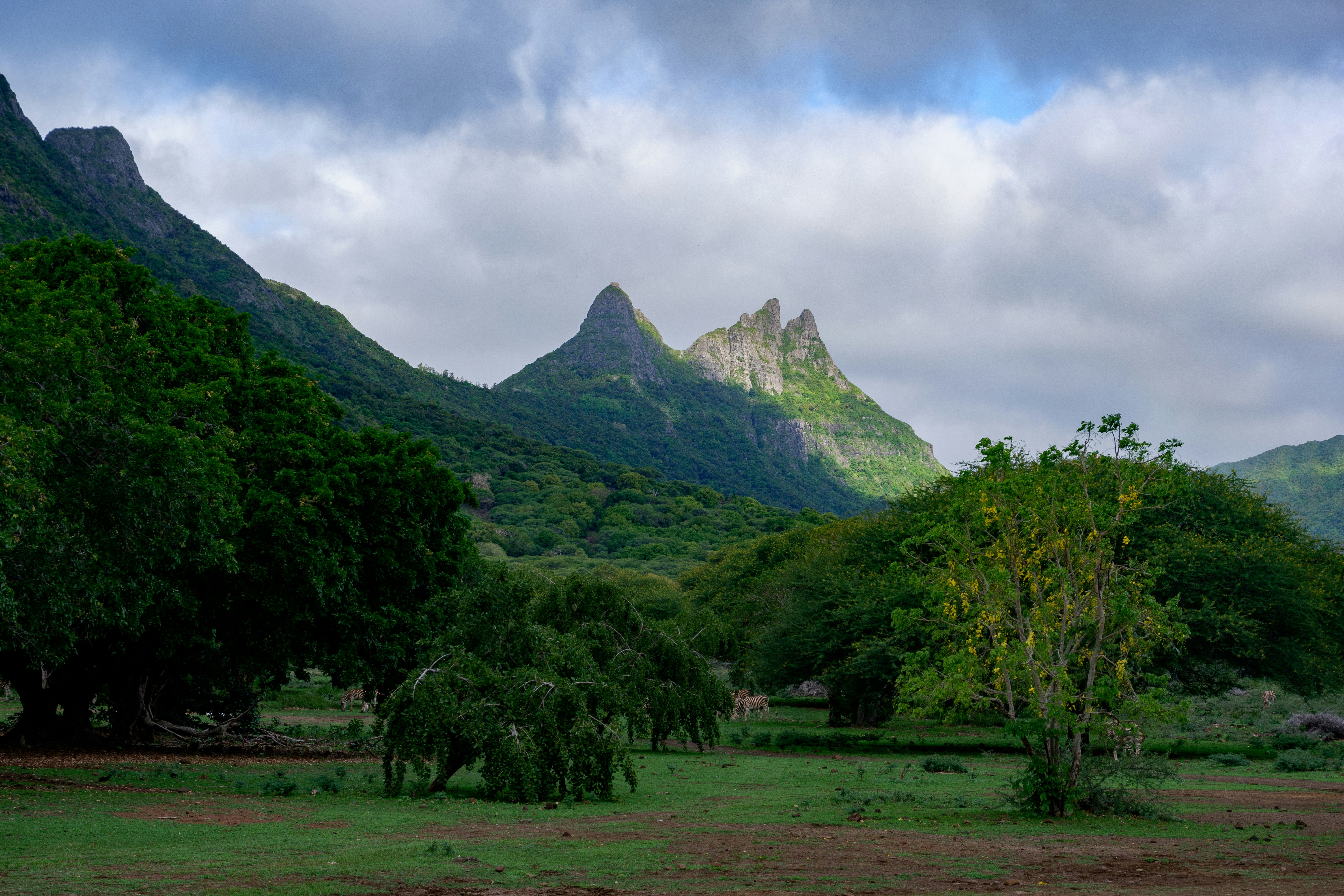 Chamarel Mountain Chalets