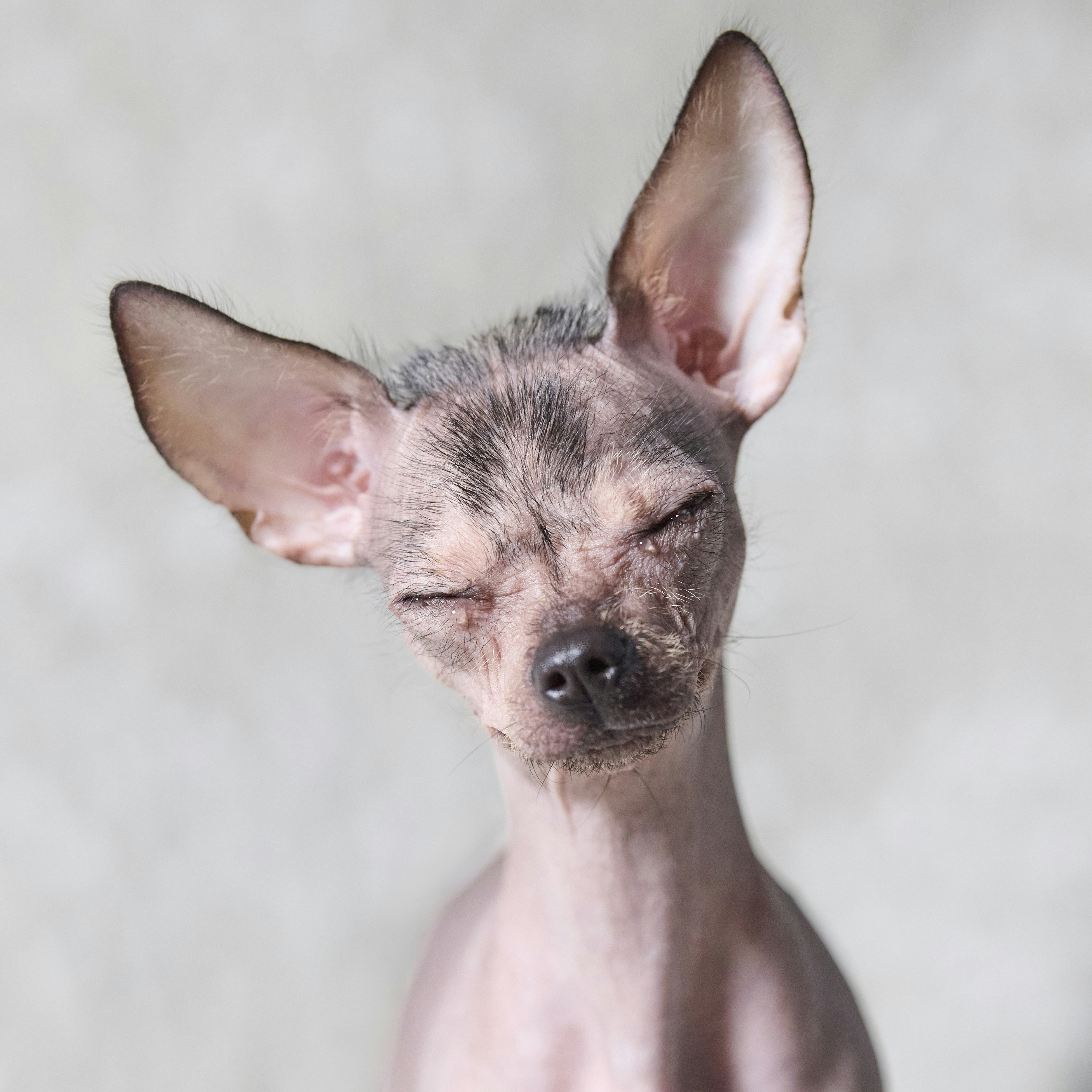 Photo by erwinbosman