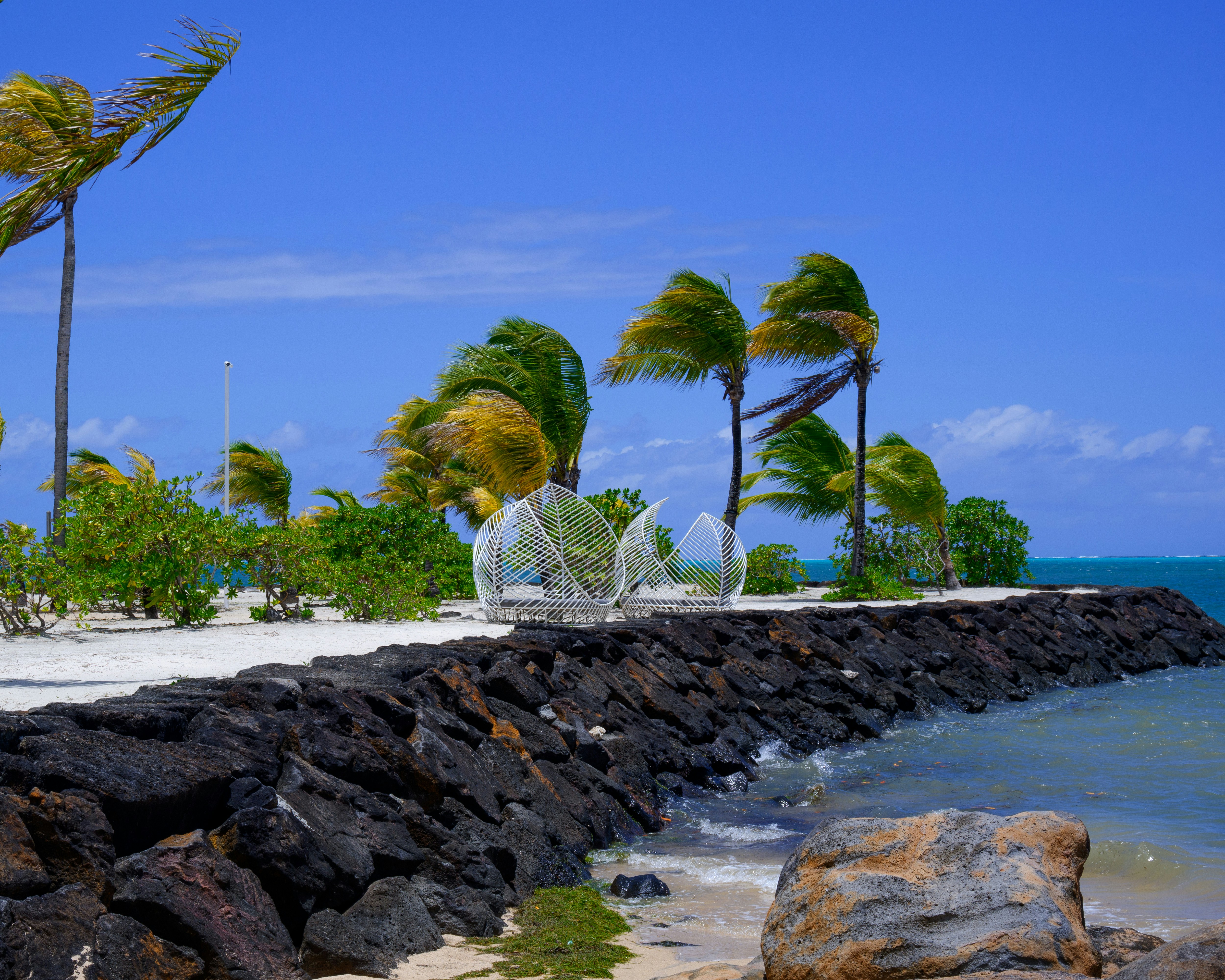 Mauritius tropical beach with palm trees