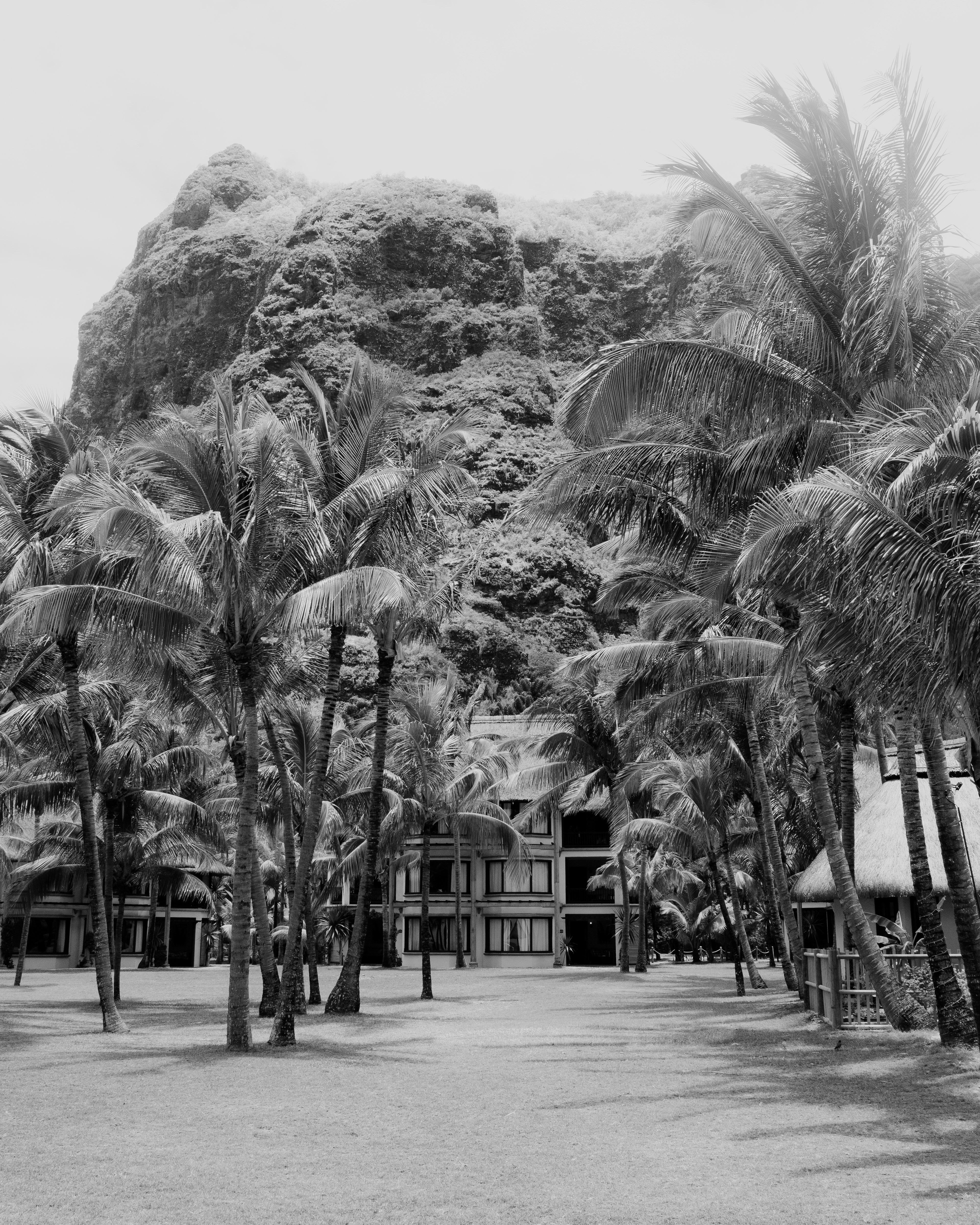 Palmeras delante de una montaña rocosa y un resort.