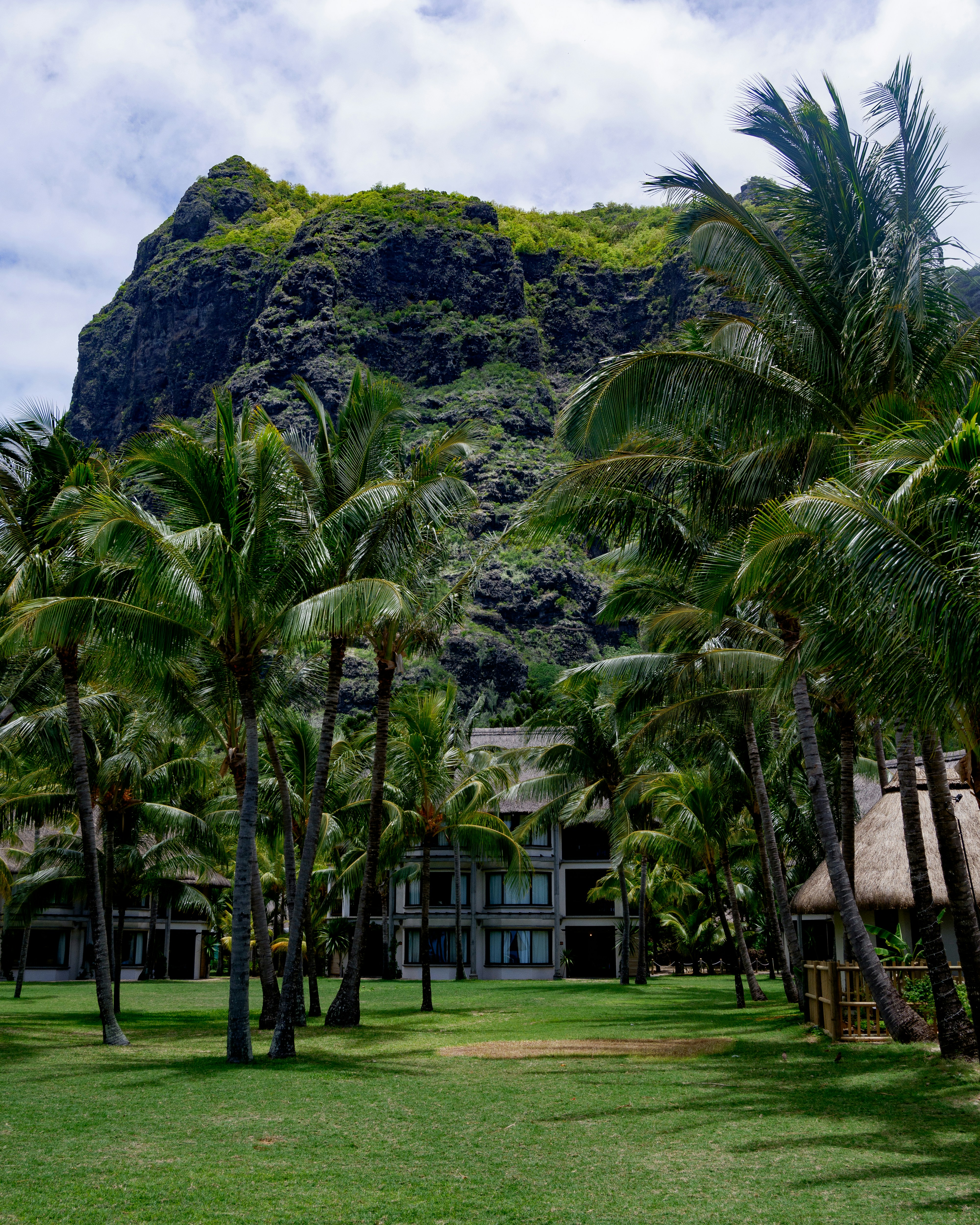Palmeras delante de una montaña rocosa y un edificio.