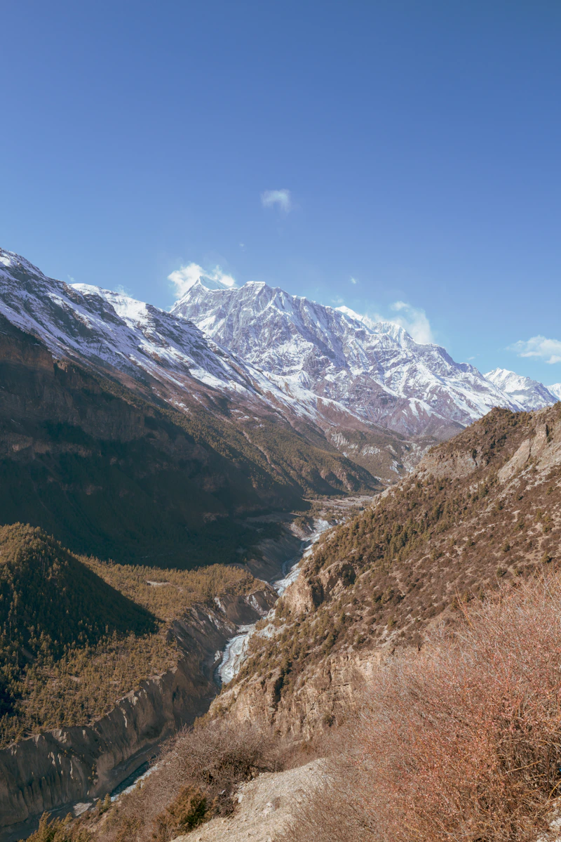 Snow-covered Himalayan peaks above a wooded gorge and river