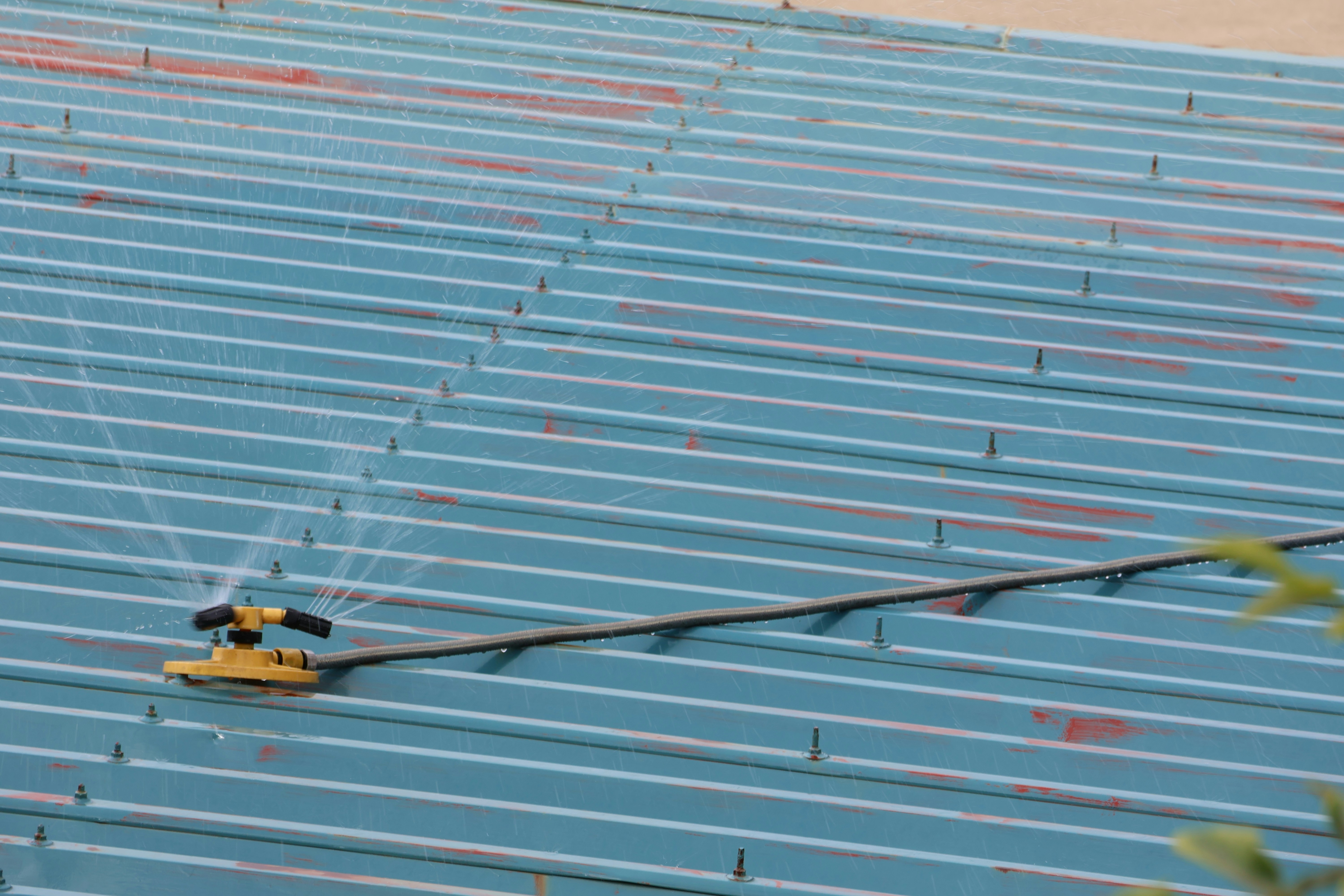 A yellow sprinkler system waters a blue corrugated roof.