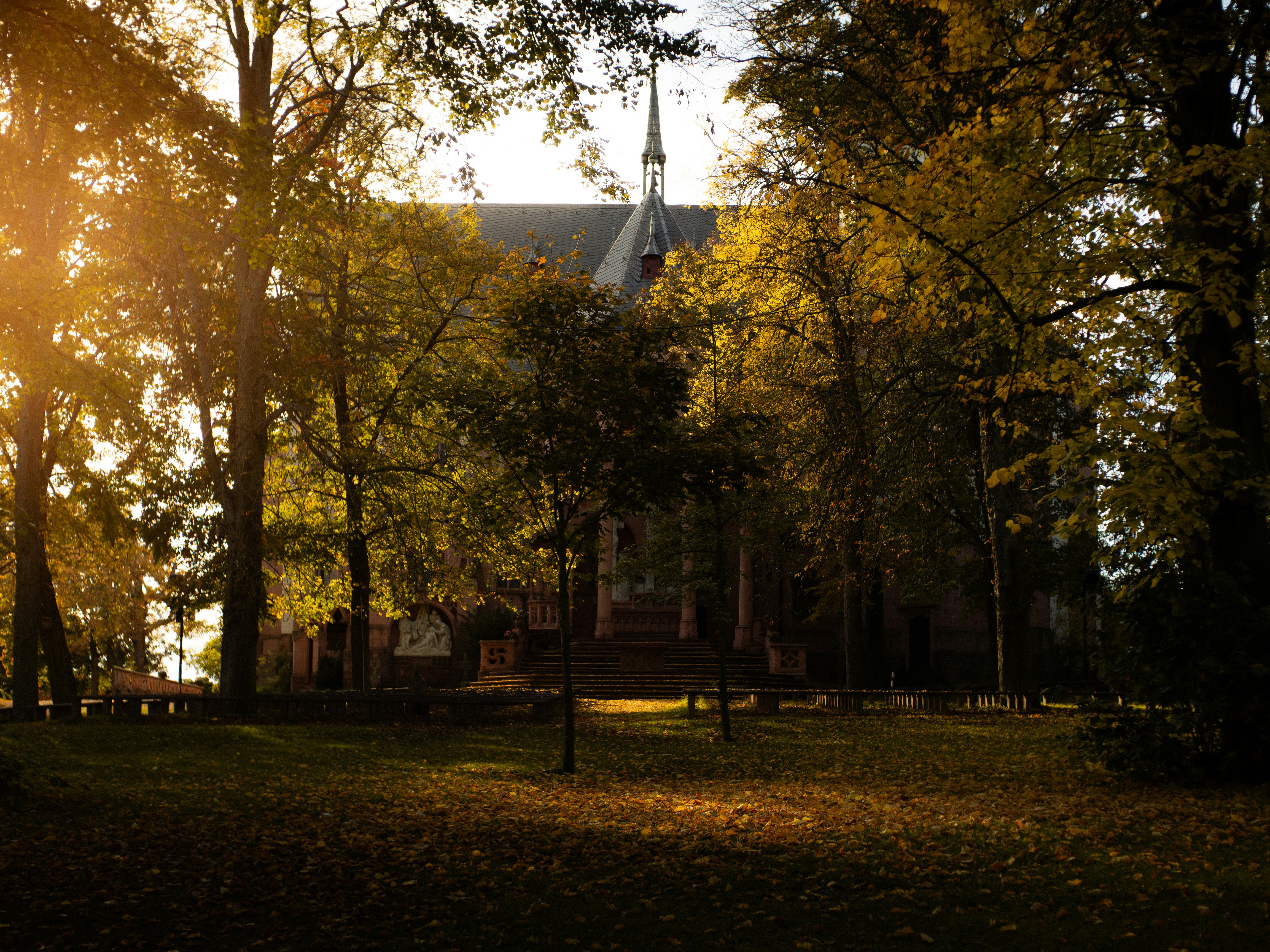 Photo by photographyhues