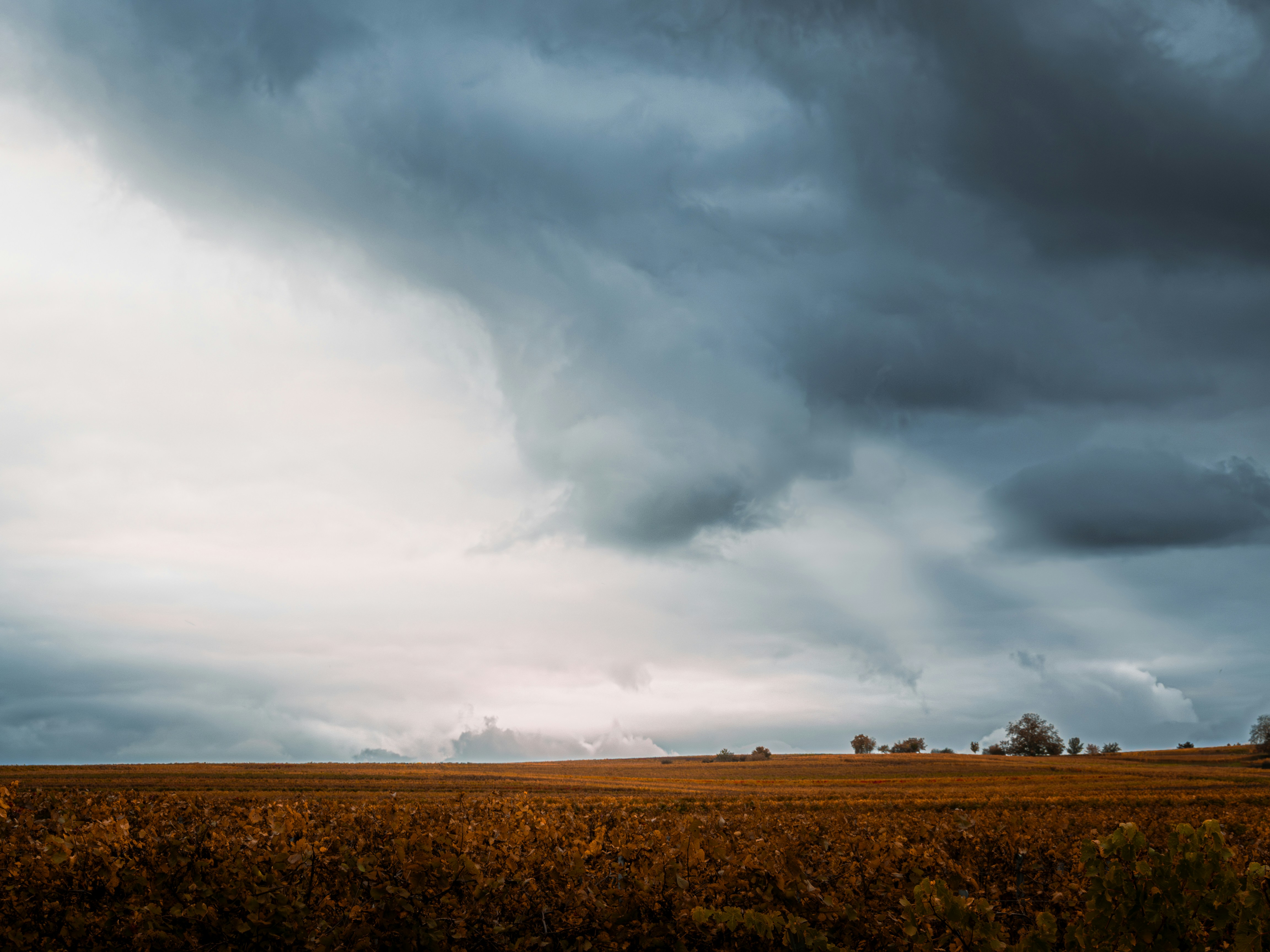 Photo by photographyhues