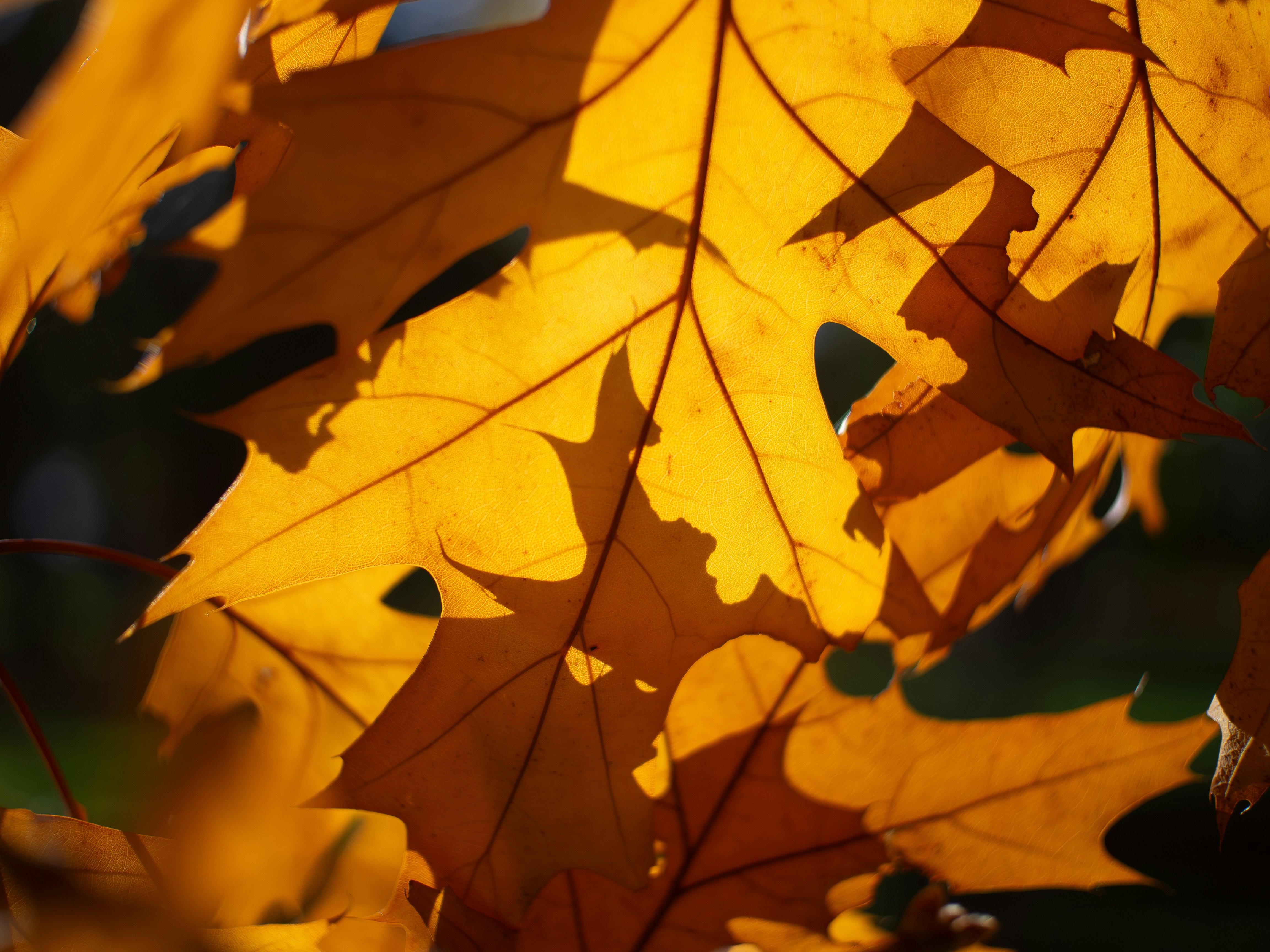 Photo by photographyhues