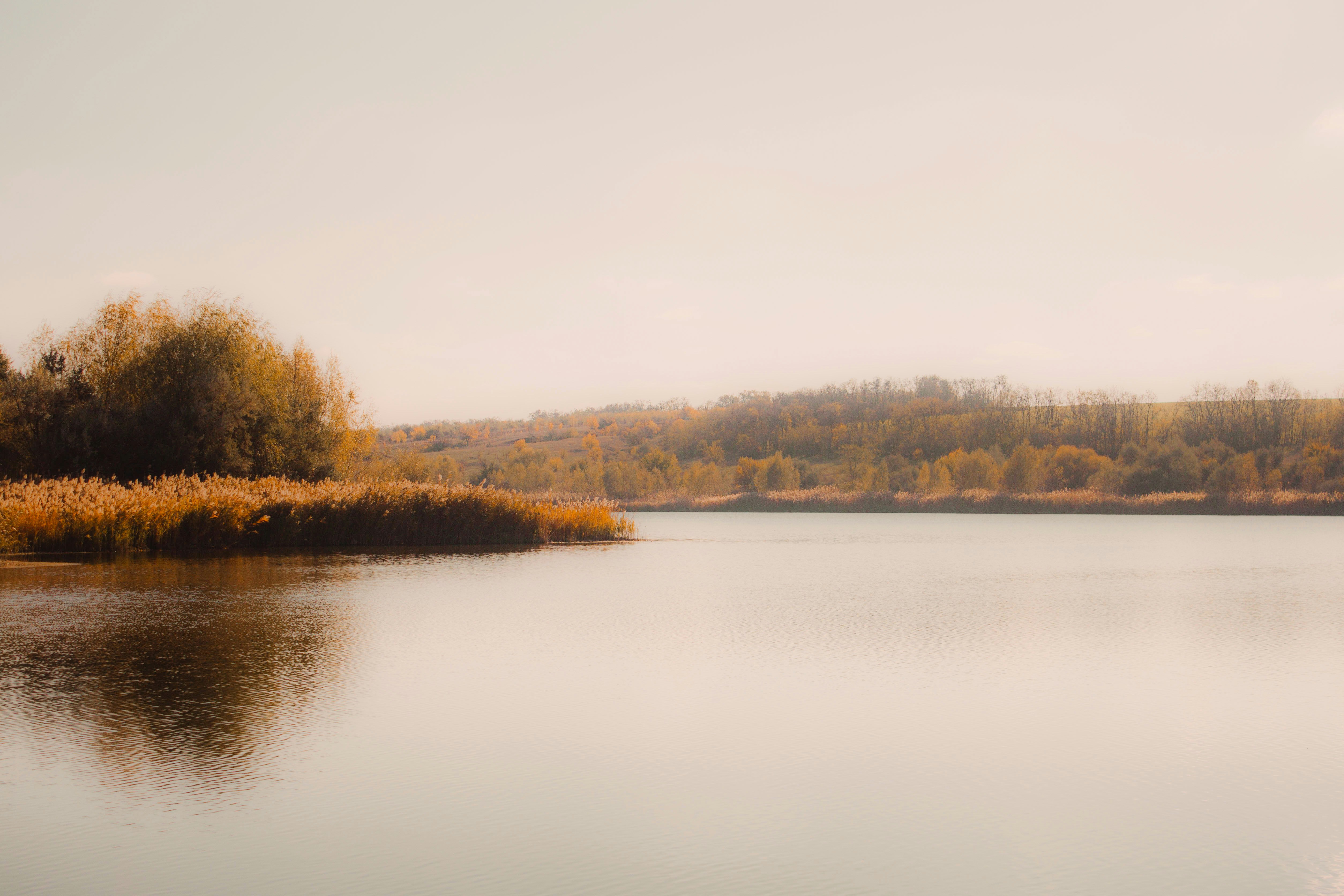 Calm lake with autumn trees and reeds
