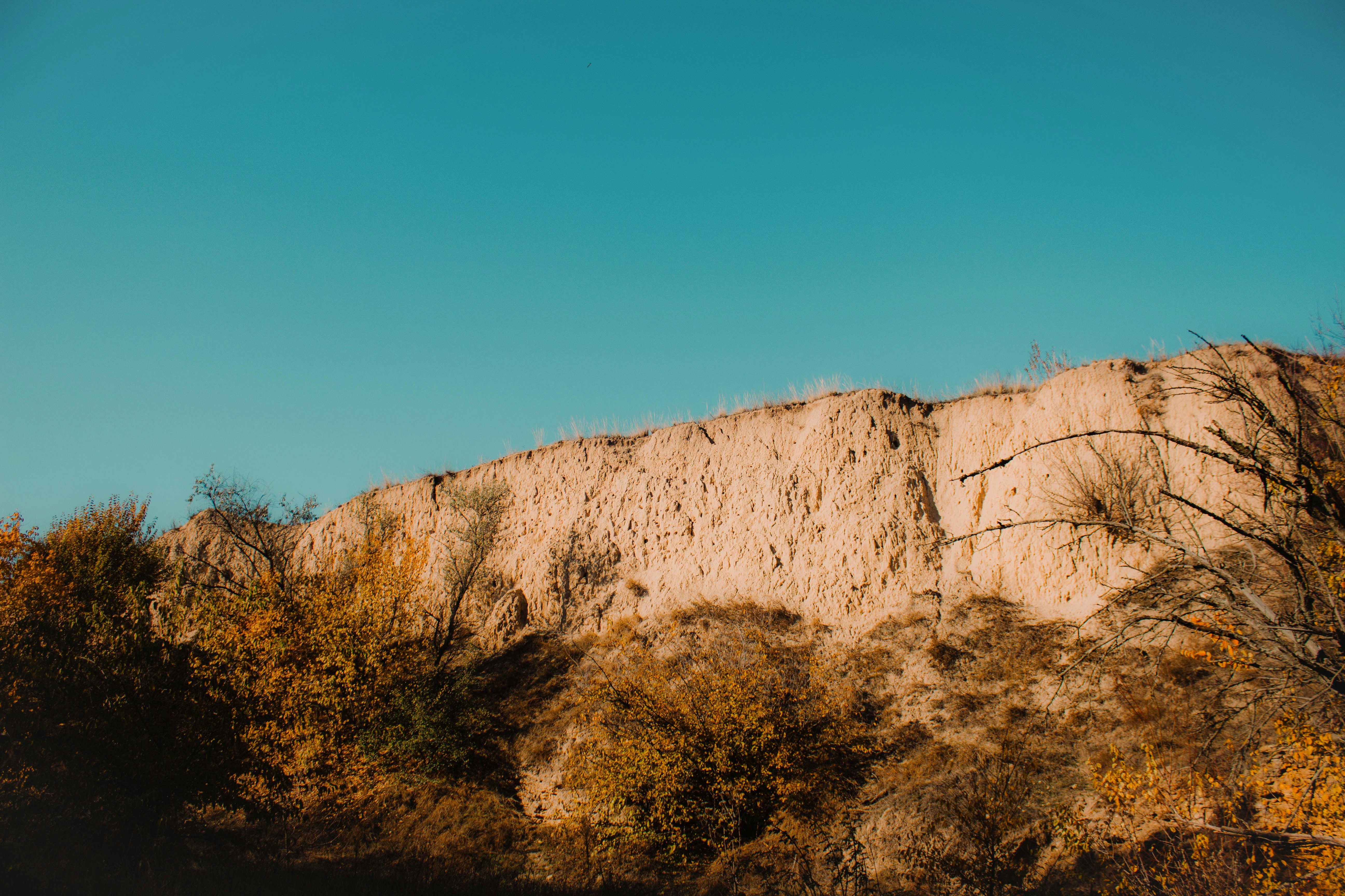 Earthy cliff face with sparse vegetation under a clear sky