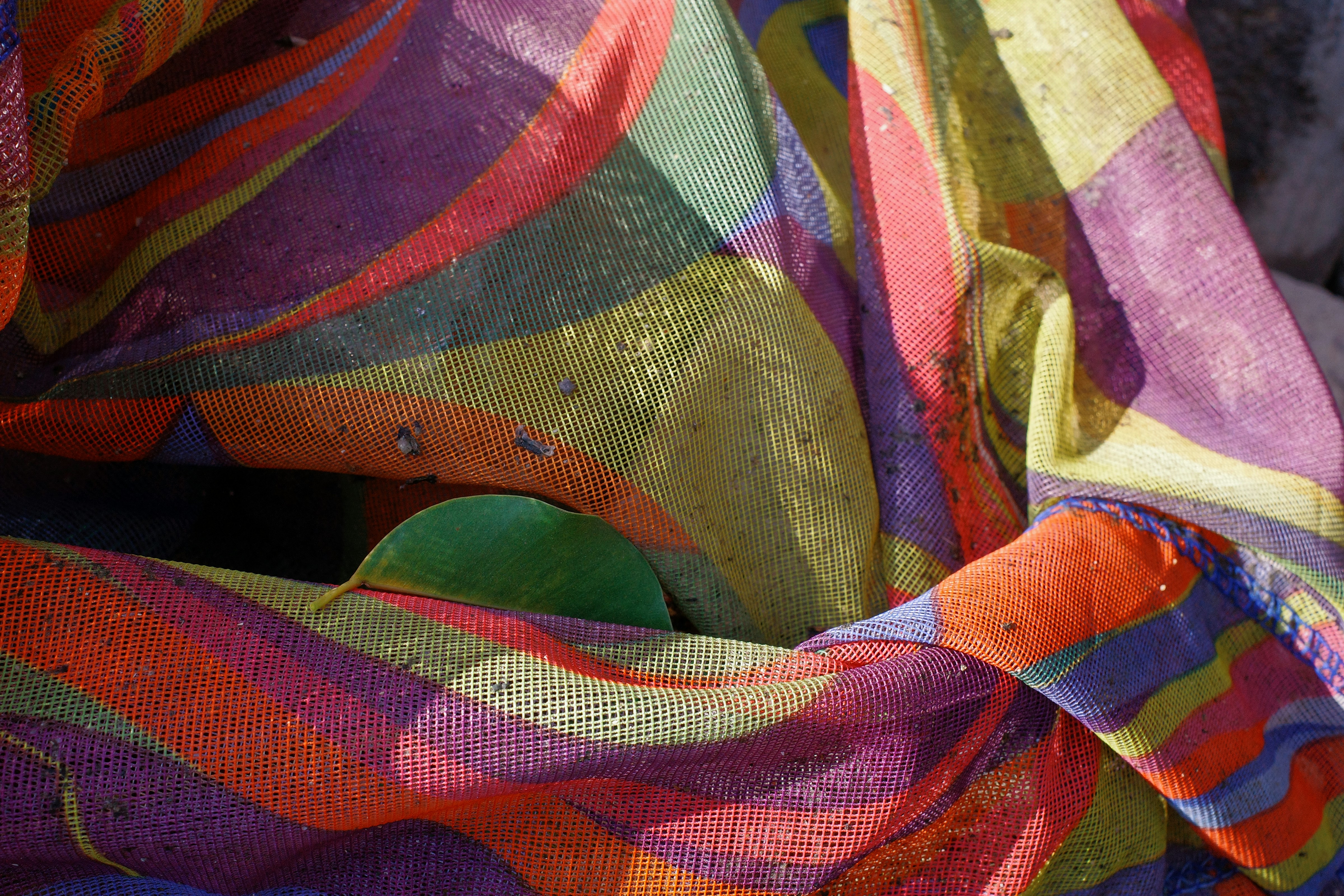 Photo by dickenslin76