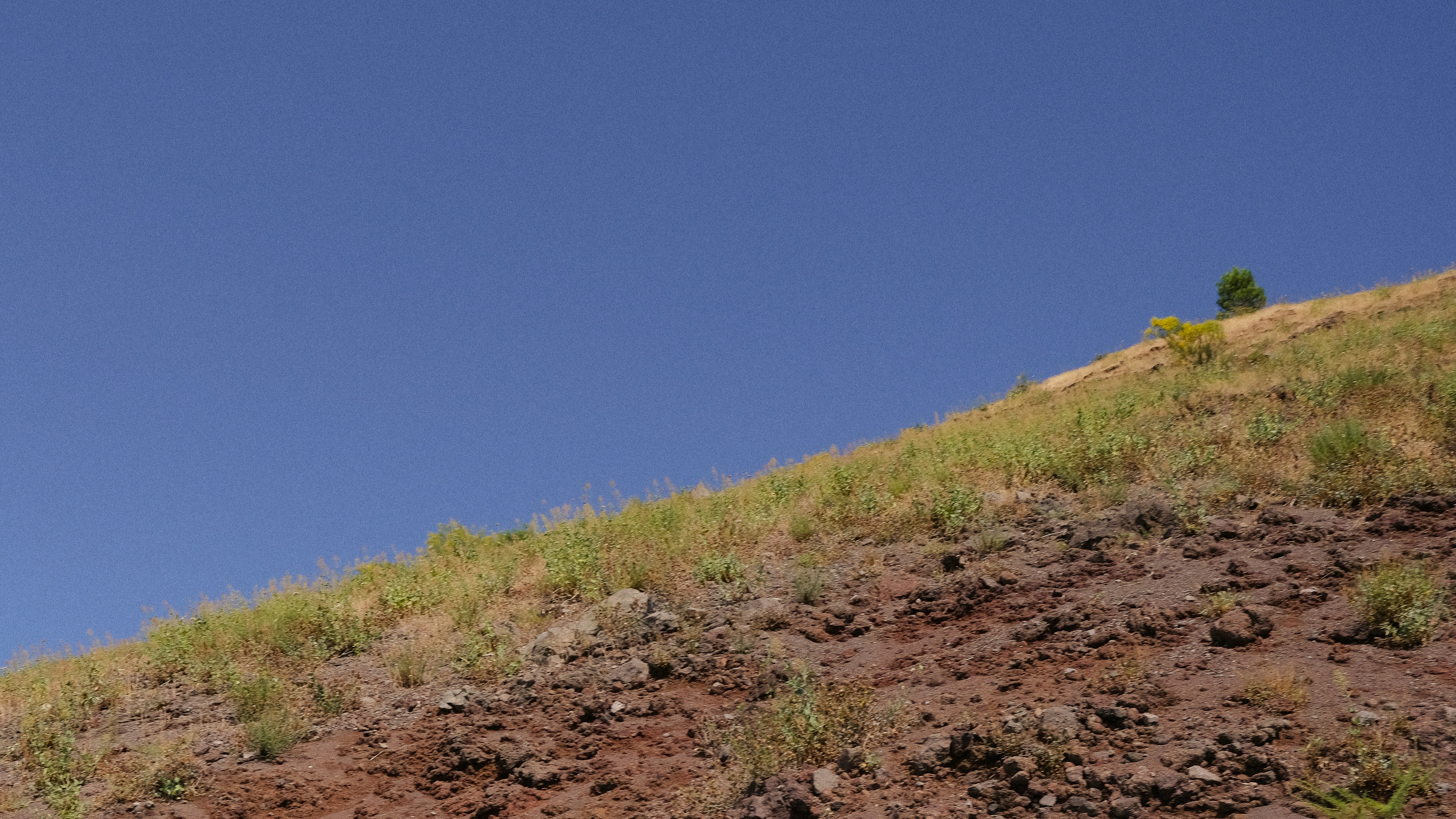 澄んだ青空の下、草地の丘
