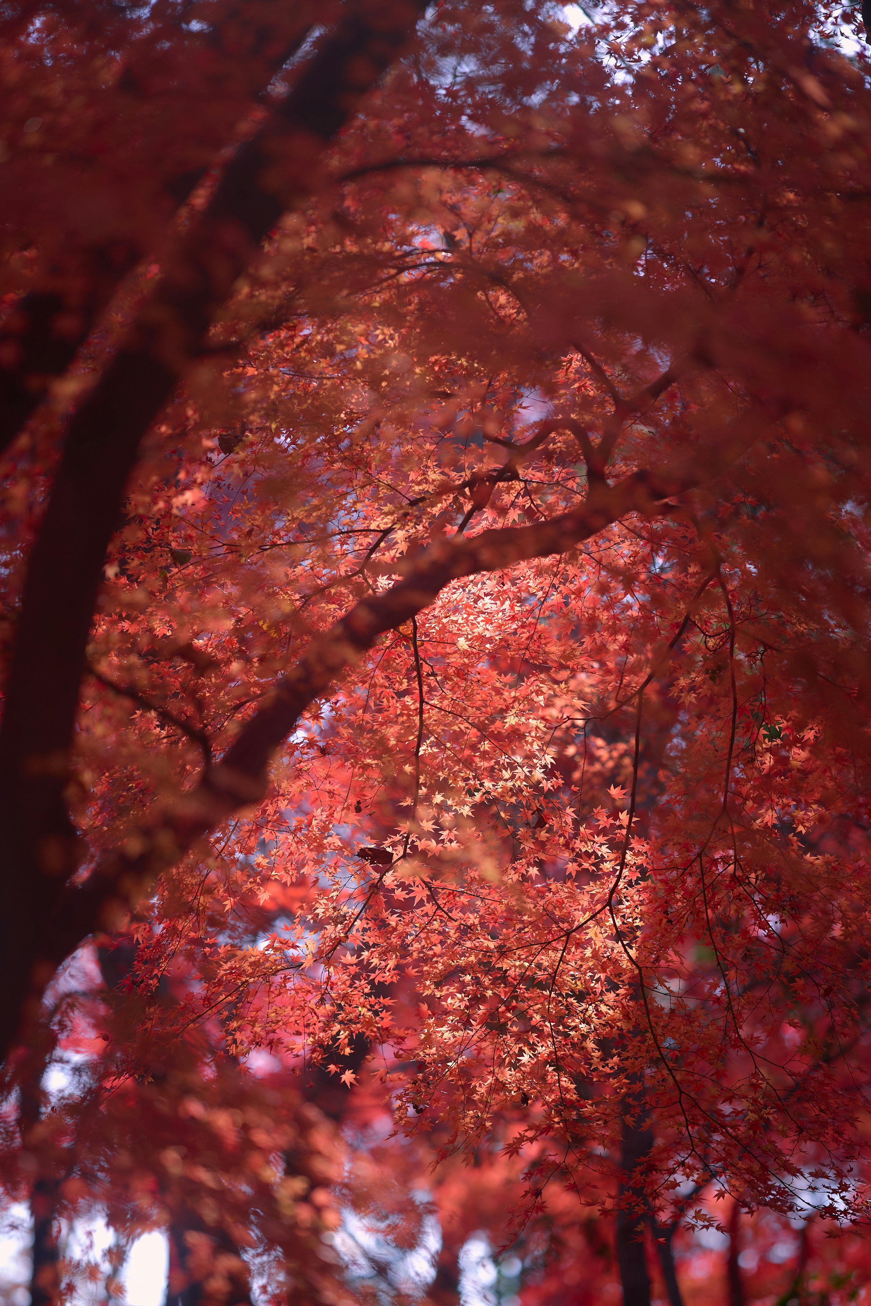 Photo by aasing_gwok