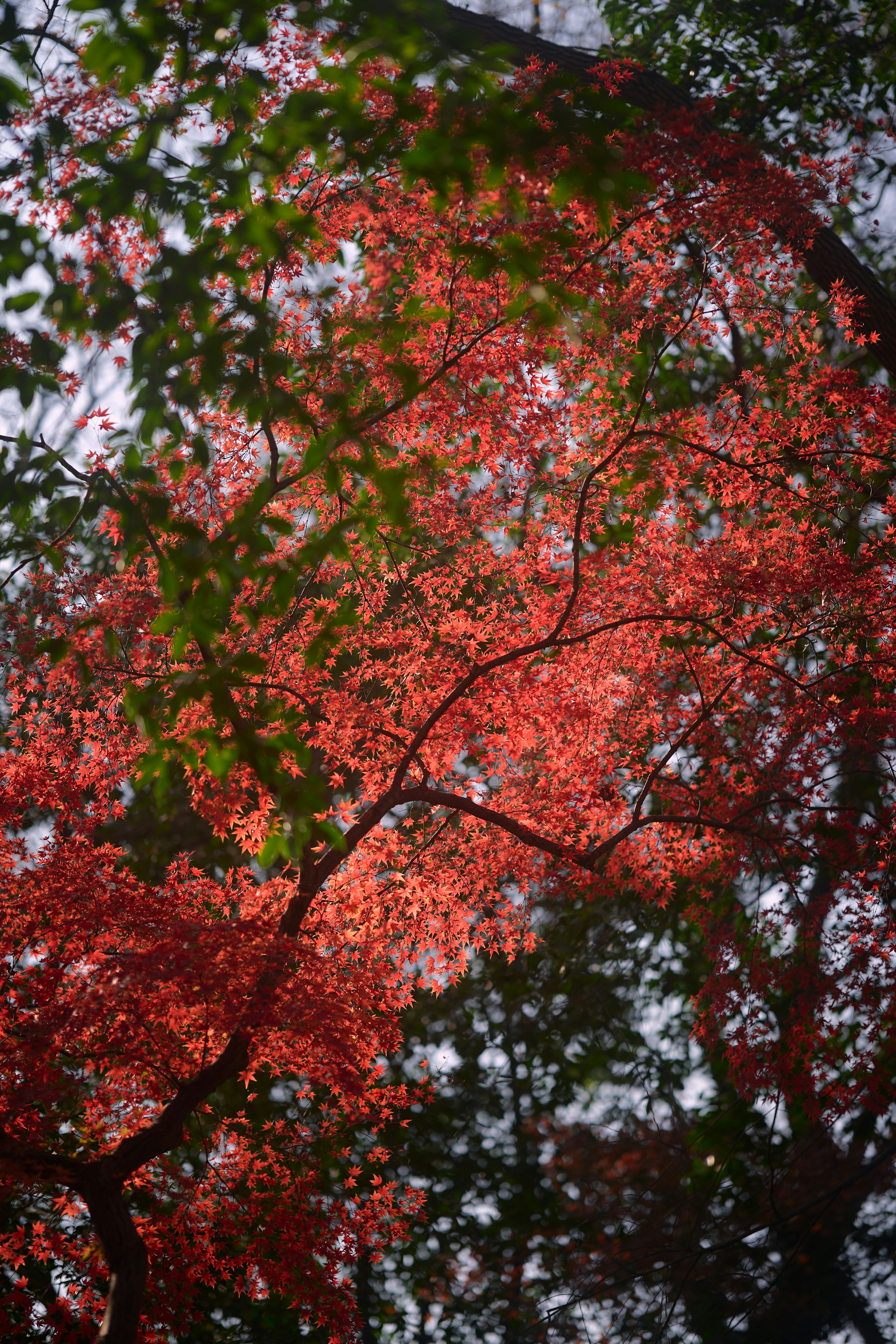 Photo by aasing_gwok