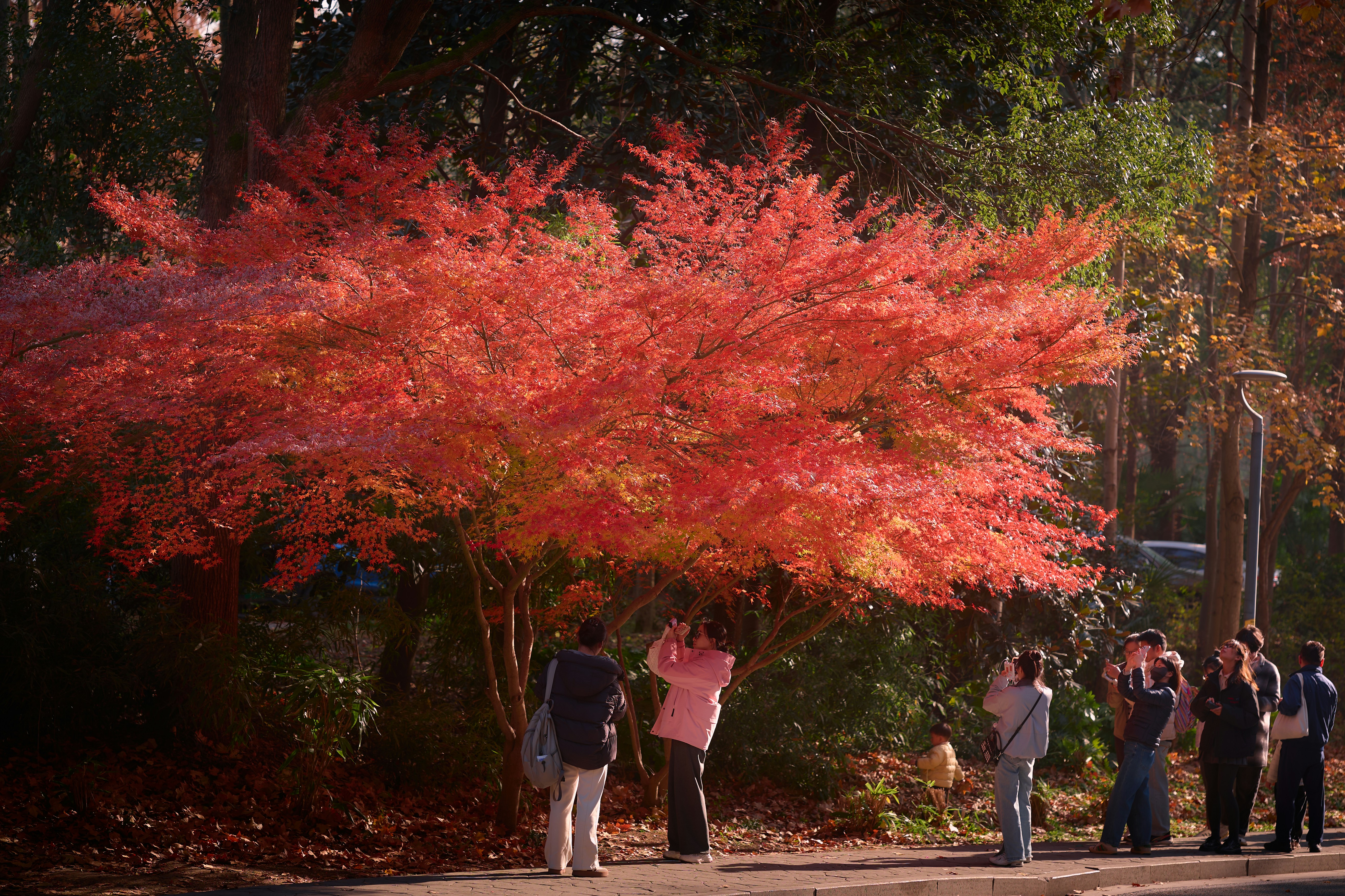 Photo by aasing_gwok