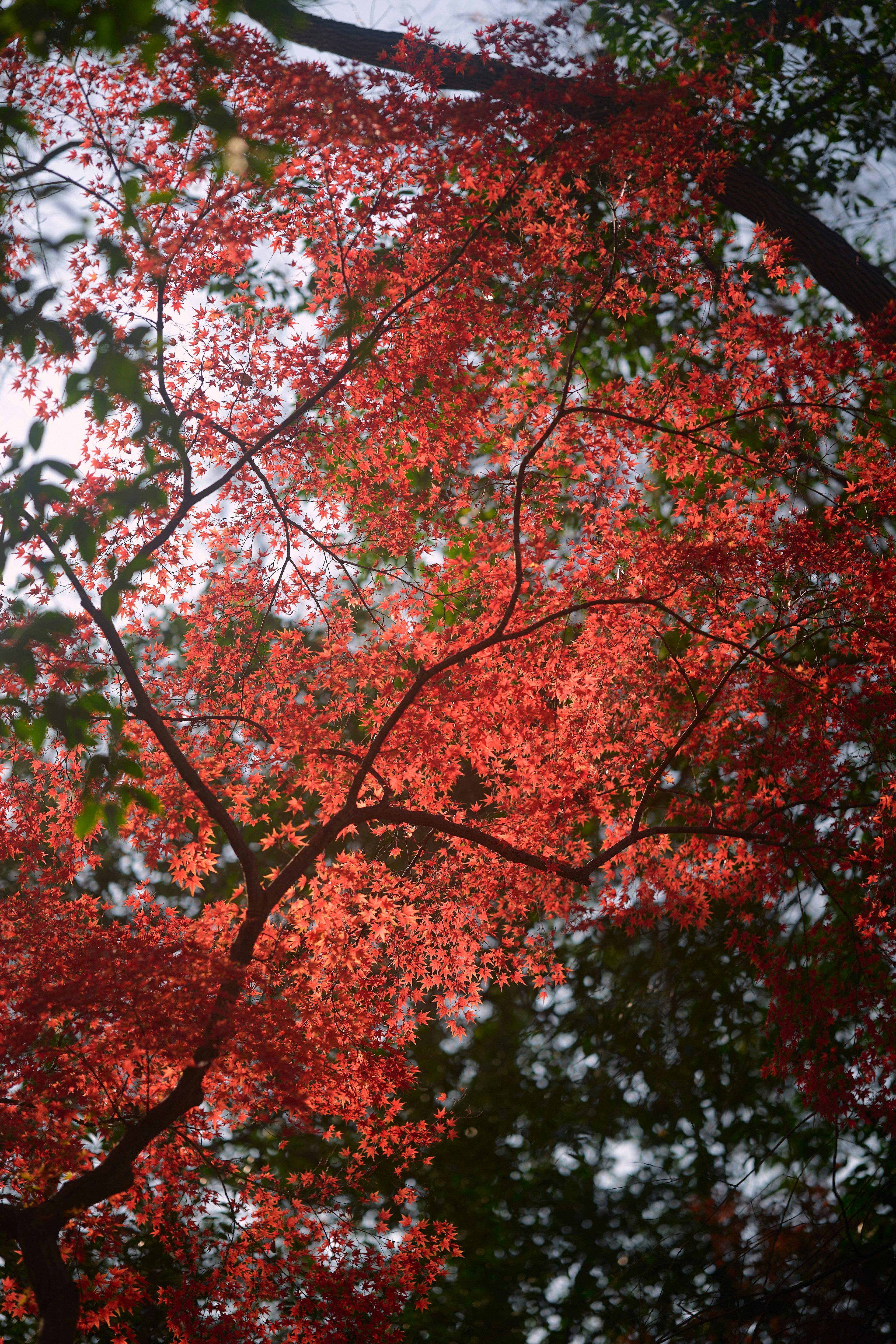 Photo by aasing_gwok